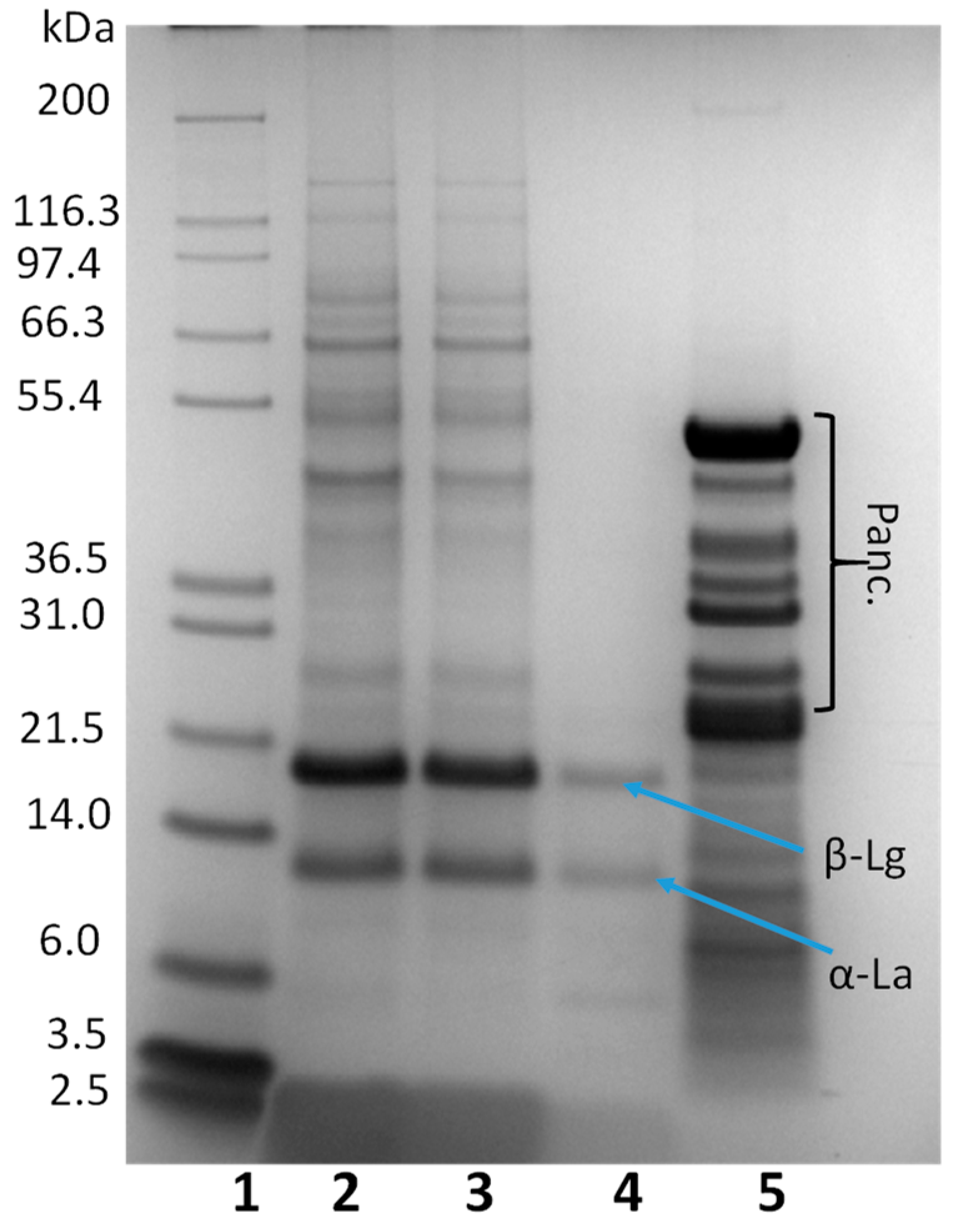 Antioxidants 11 01827 g001