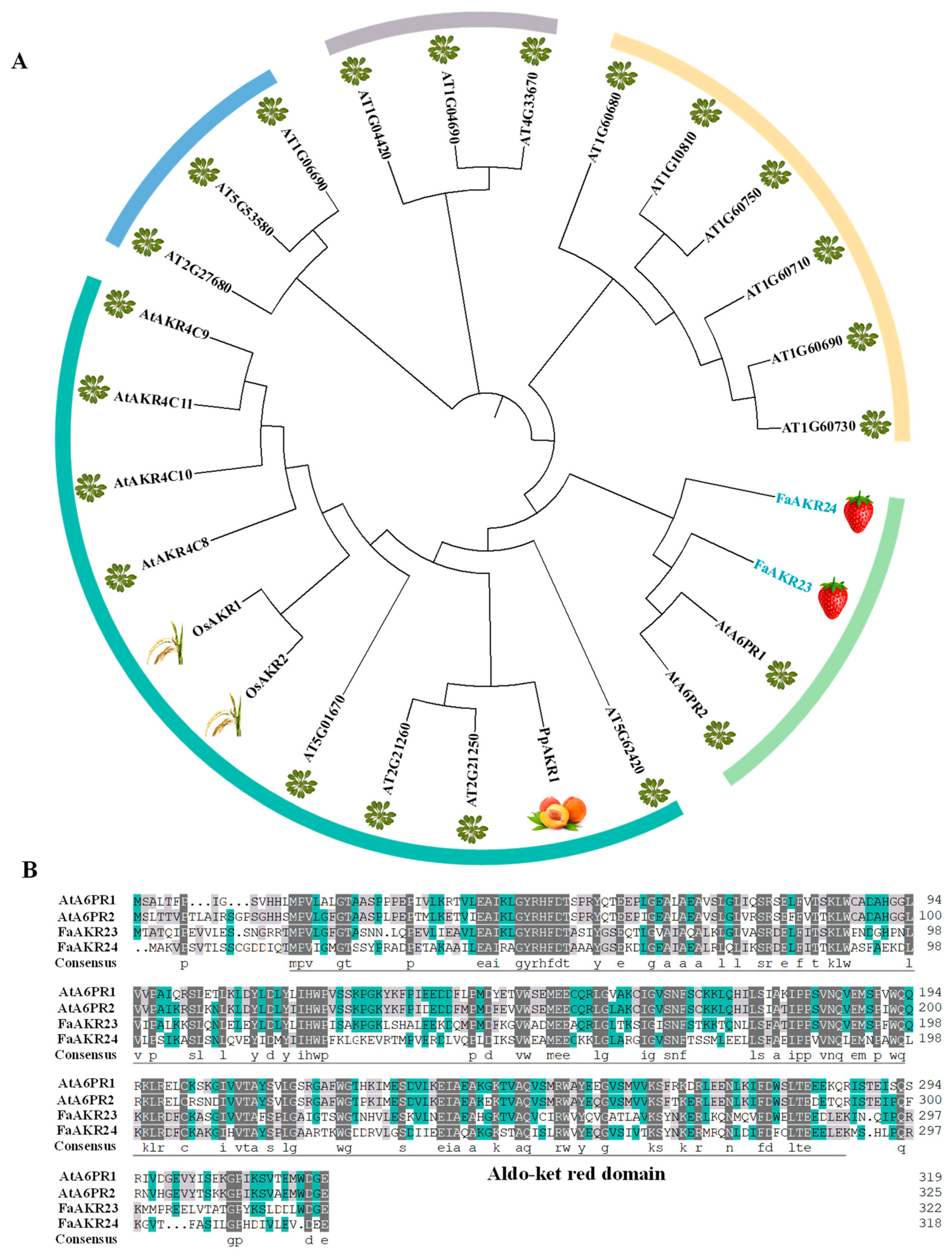 Antioxidants 11 01828 g001