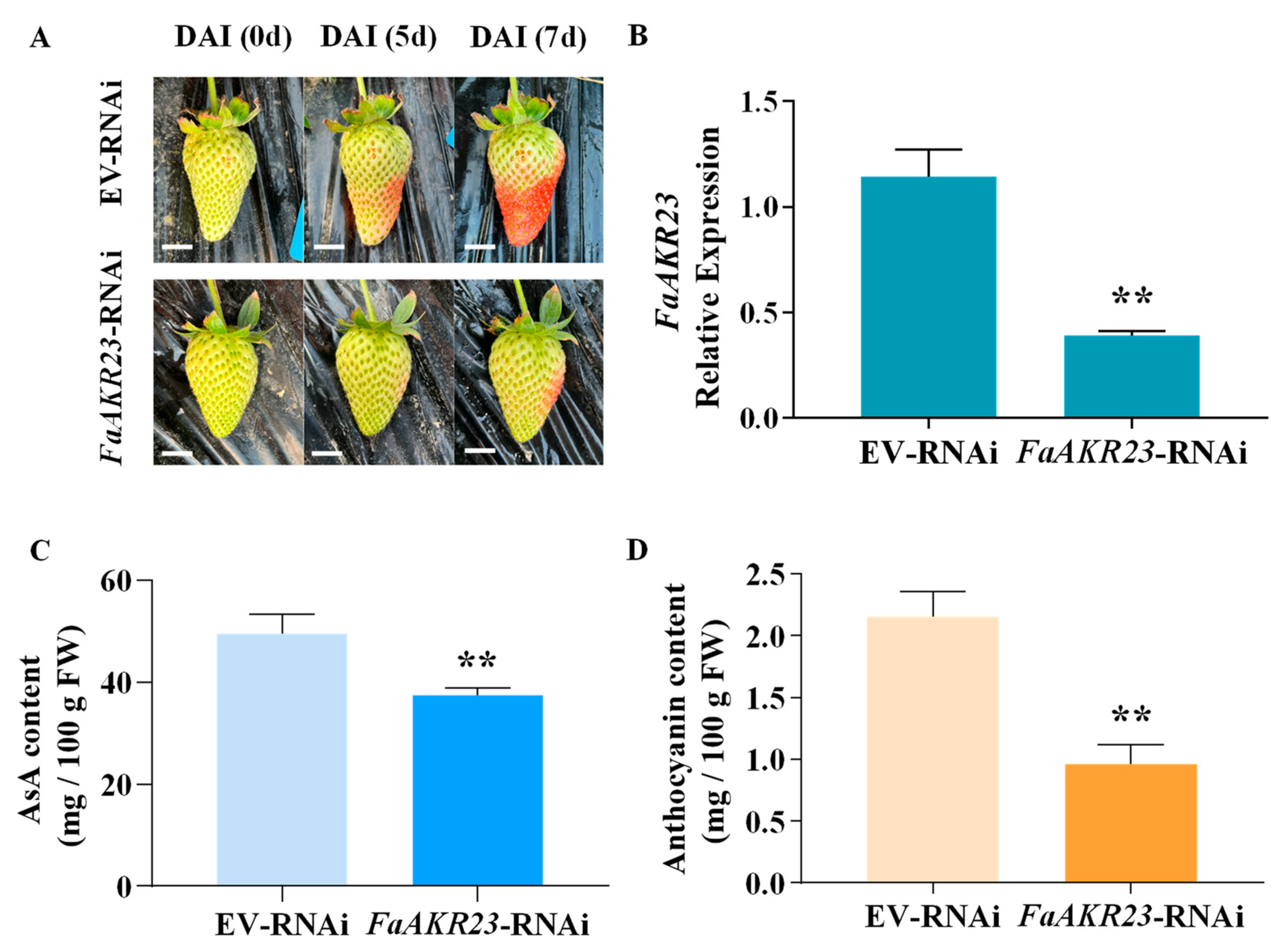 Antioxidants 11 01828 g003