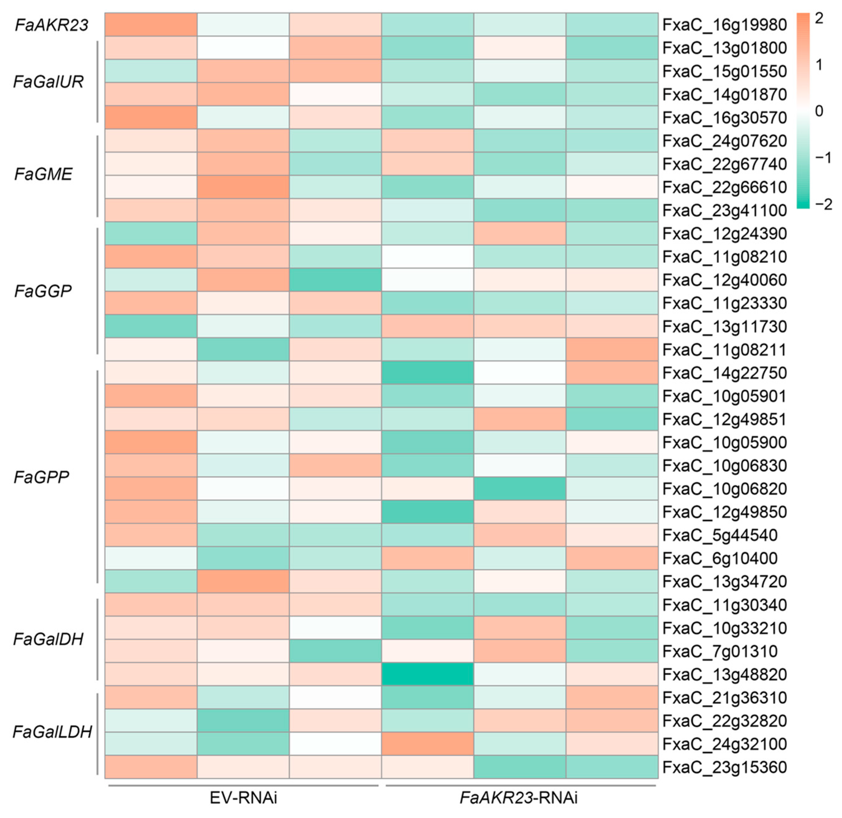 Antioxidants 11 01828 g004