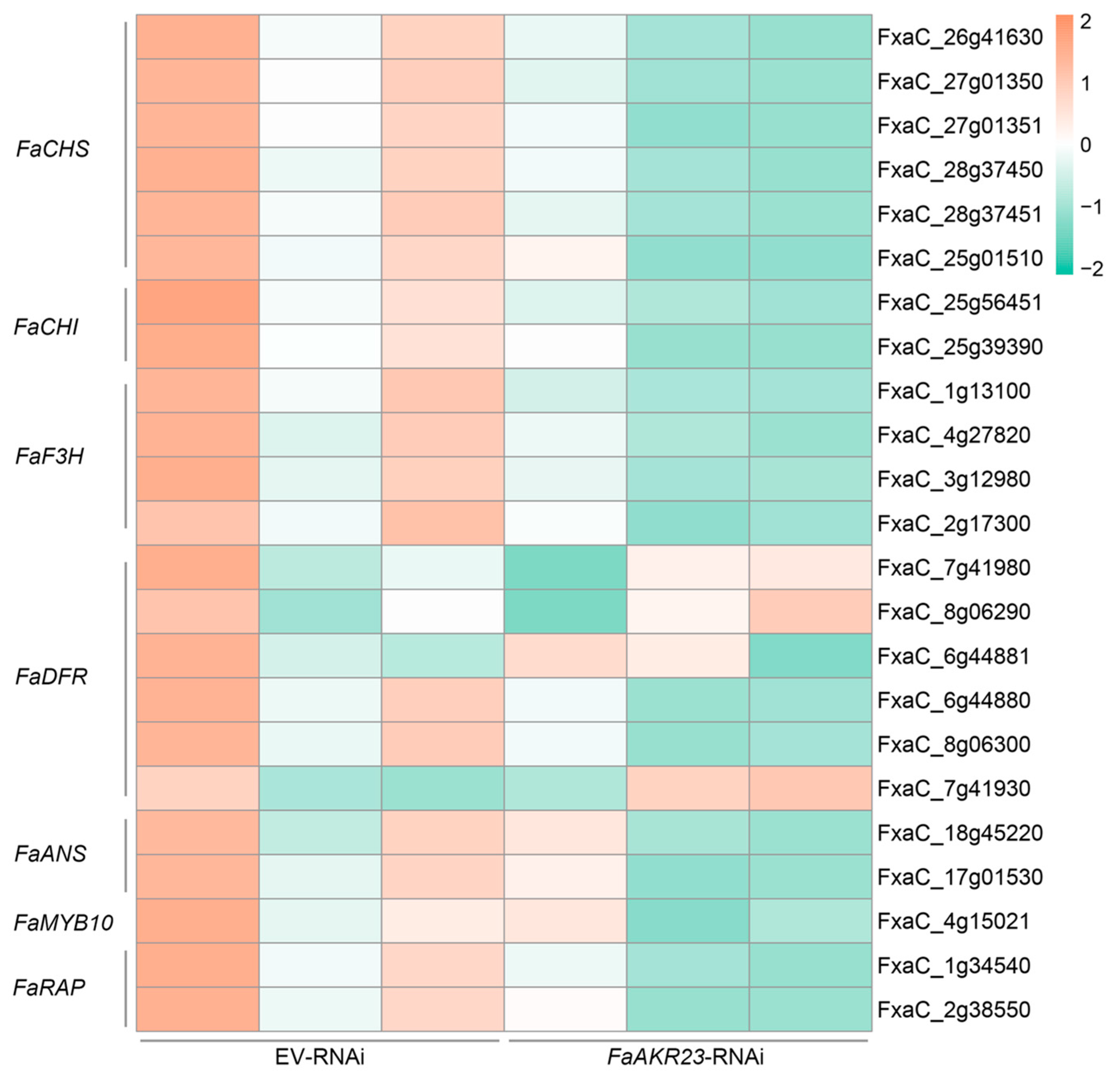Antioxidants 11 01828 g005