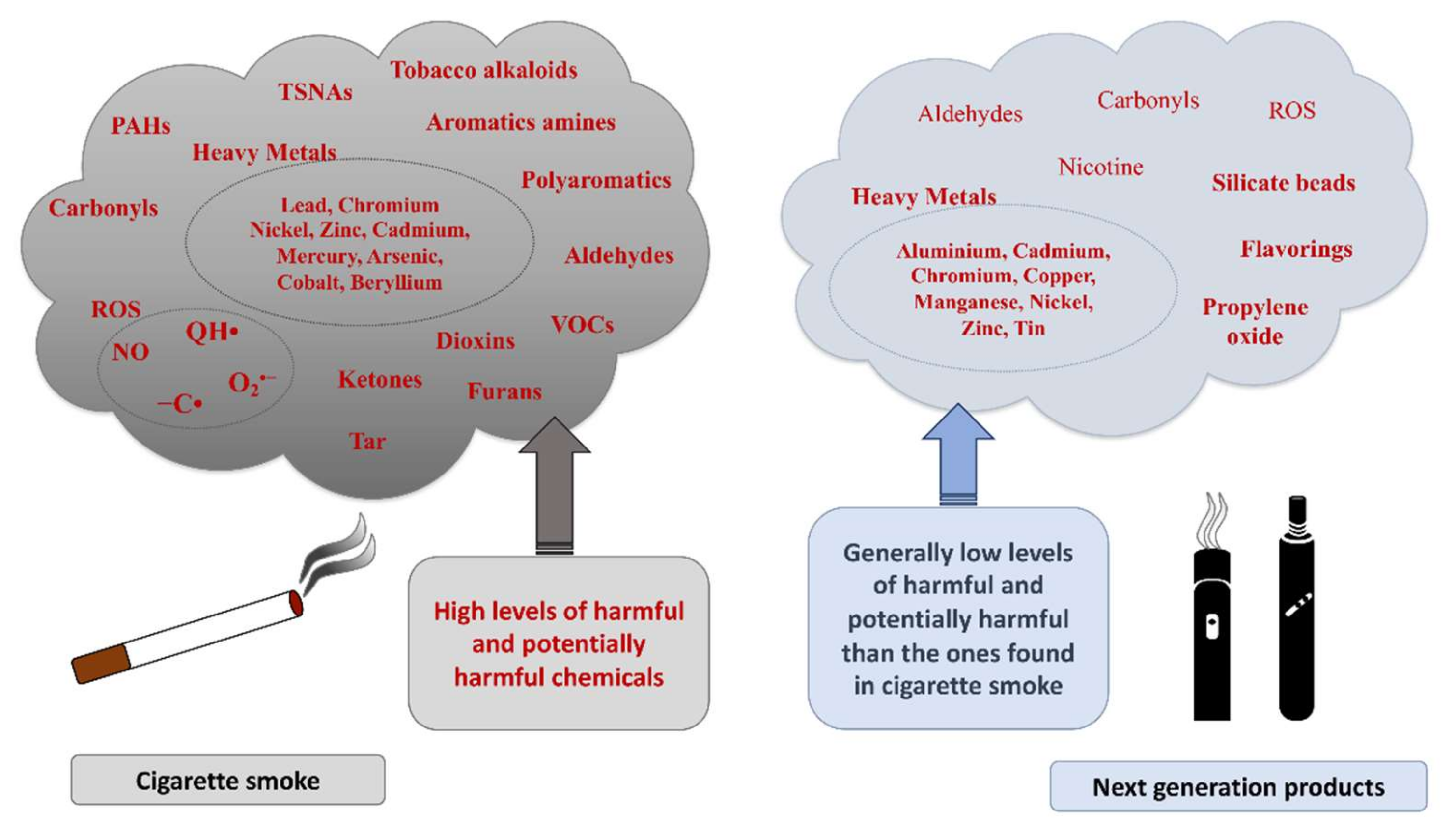 Antioxidants 11 01829 g002