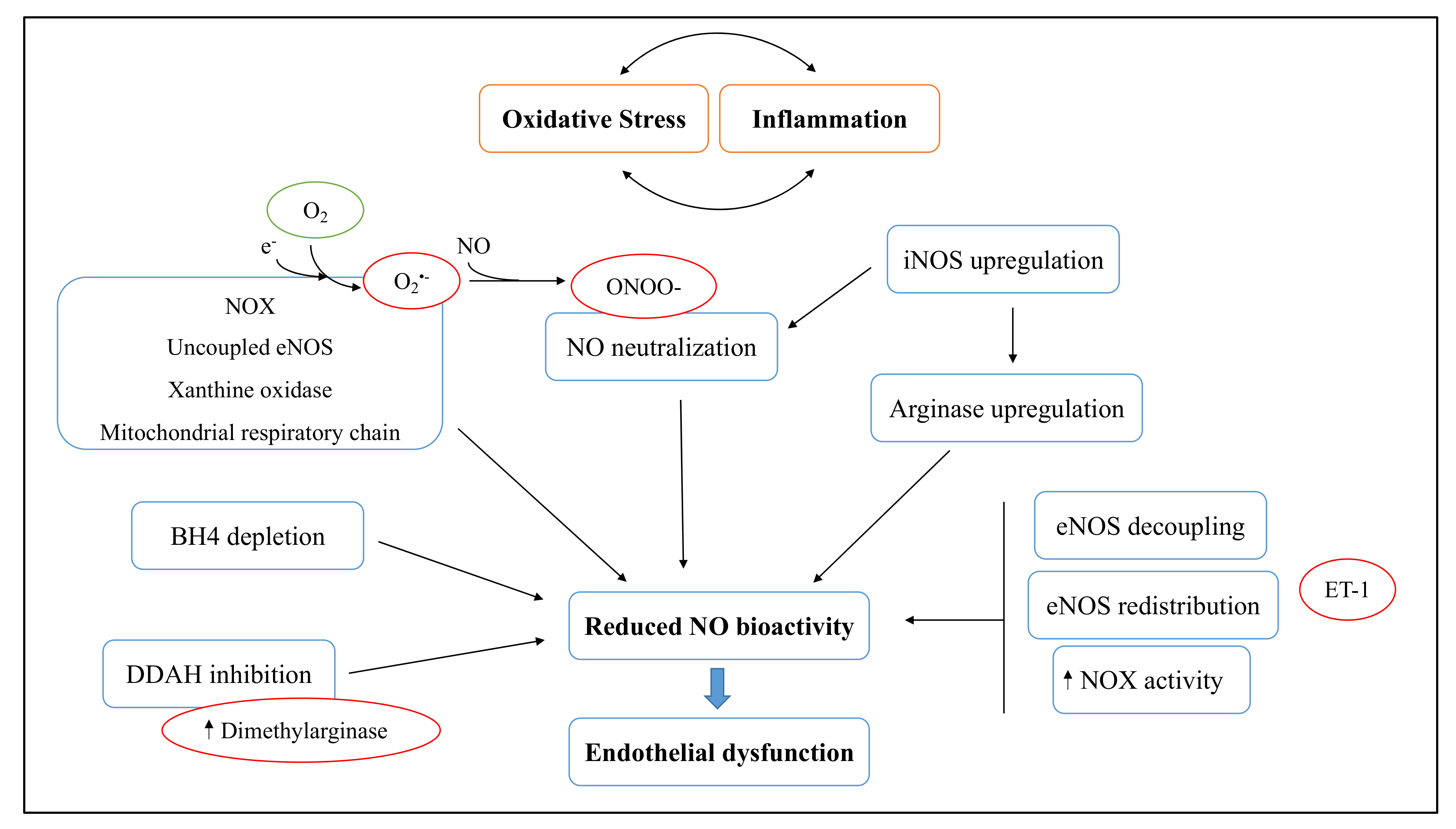 Antioxidants 11 01829 g004