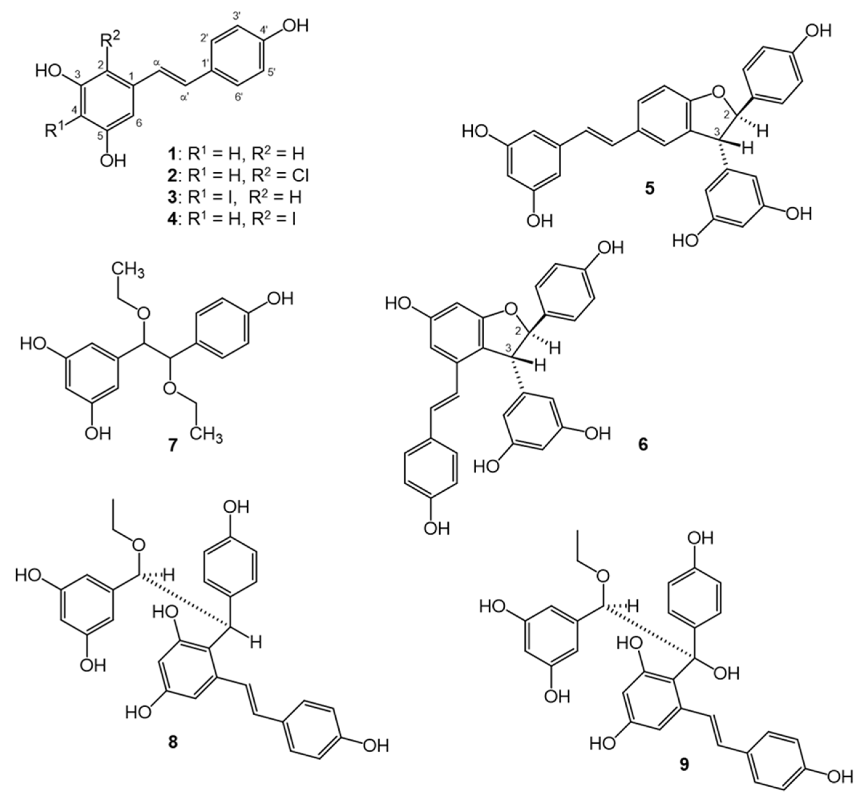 Antioxidants 11 01832 g001 Antioxidants 11 01832 g001