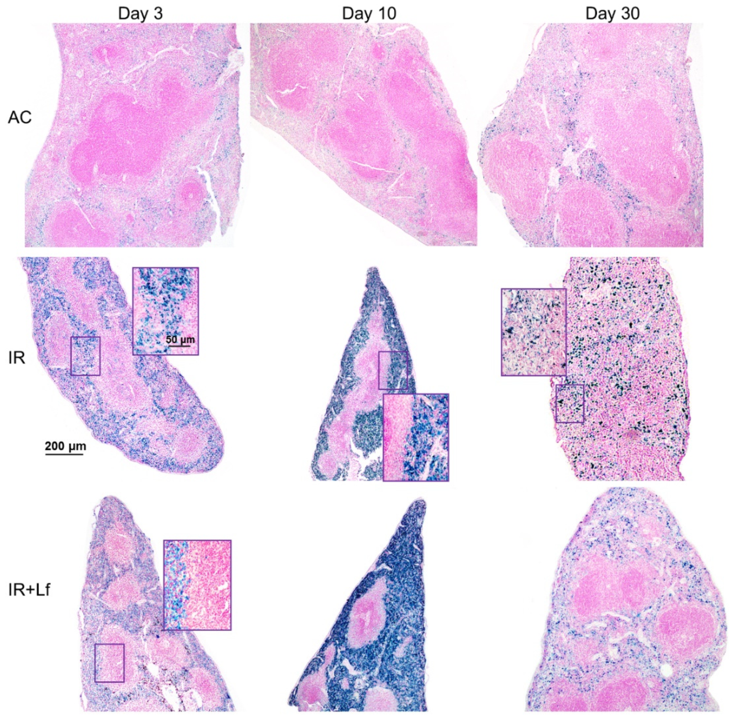 Antioxidants 11 01833 g011