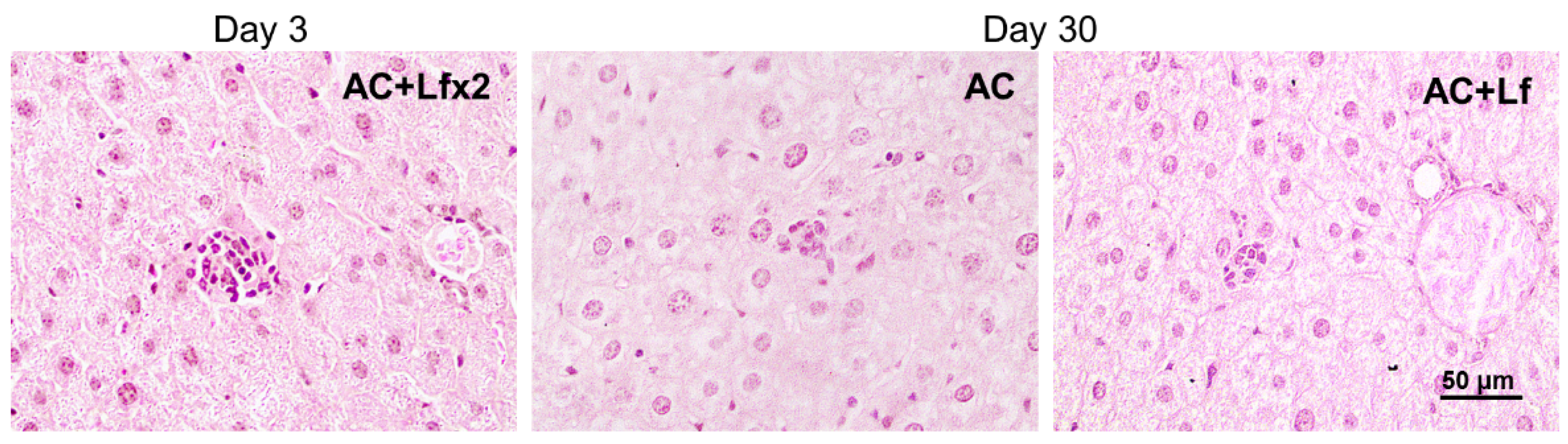 Antioxidants 11 01833 g013