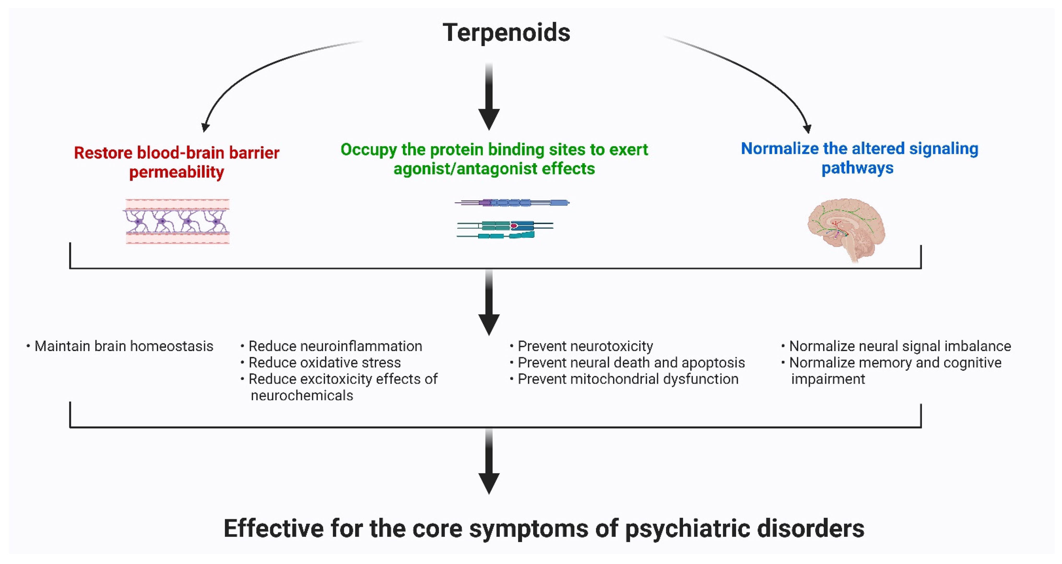 Antioxidants 11 01834 g002