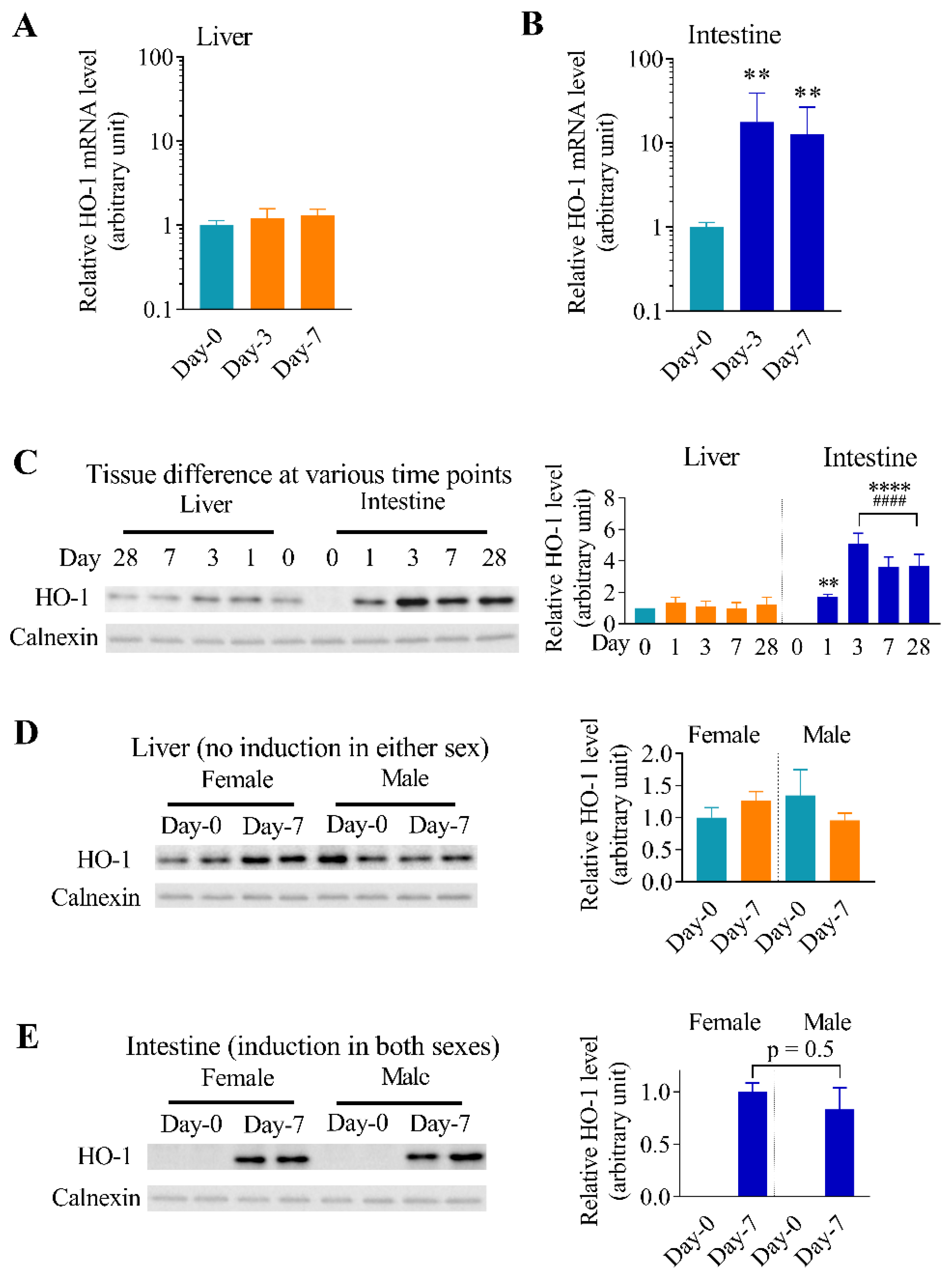 Antioxidants 11 01835 g002