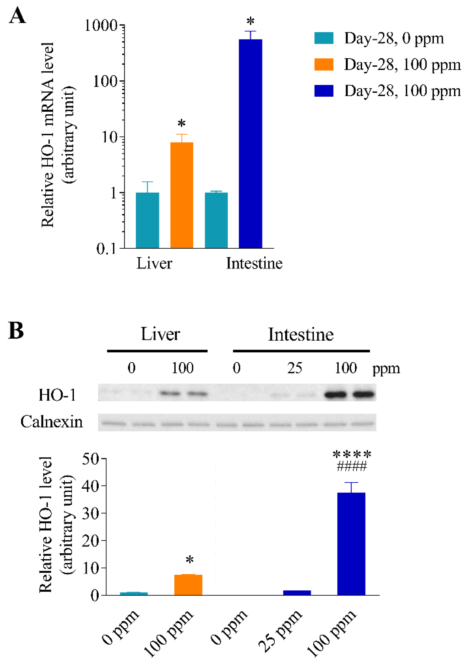 Antioxidants 11 01835 g006
