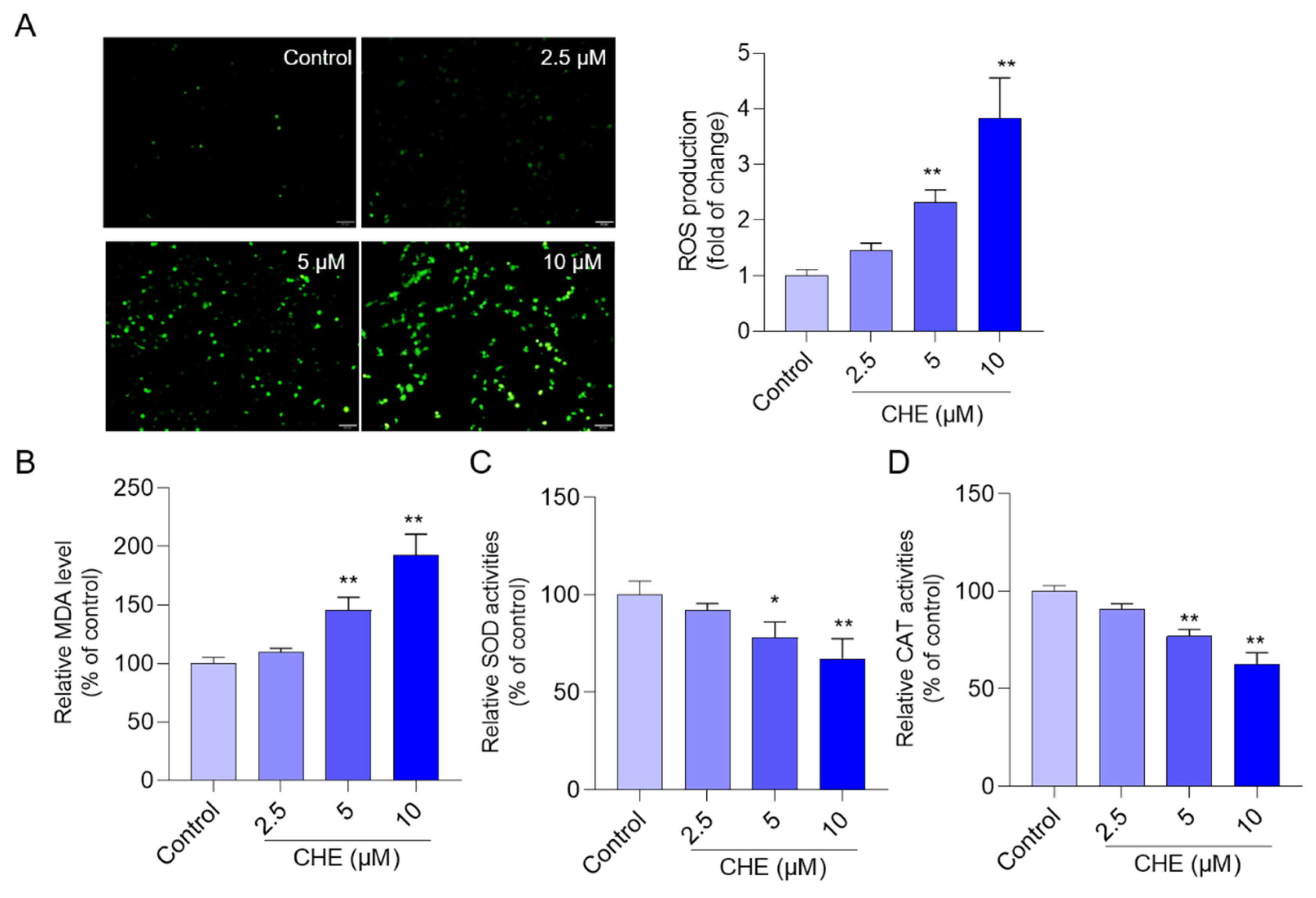 Antioxidants 11 01837 g003