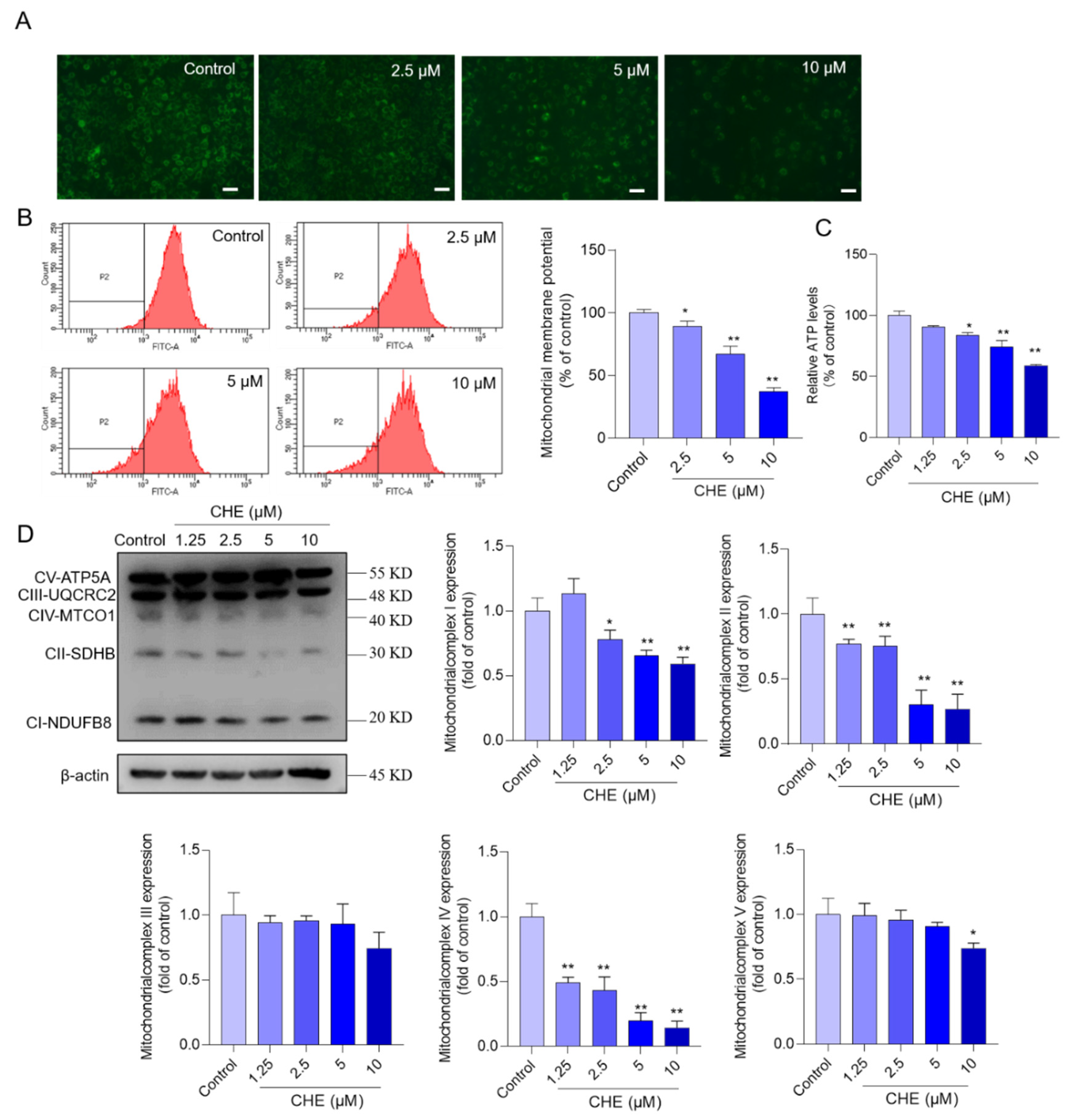 Antioxidants 11 01837 g004