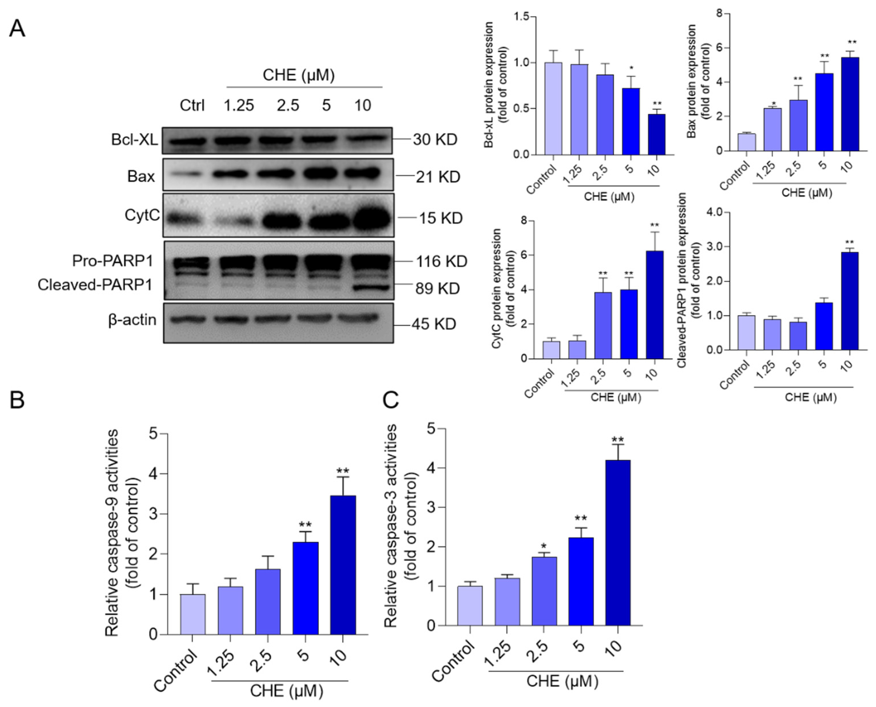 Antioxidants 11 01837 g005
