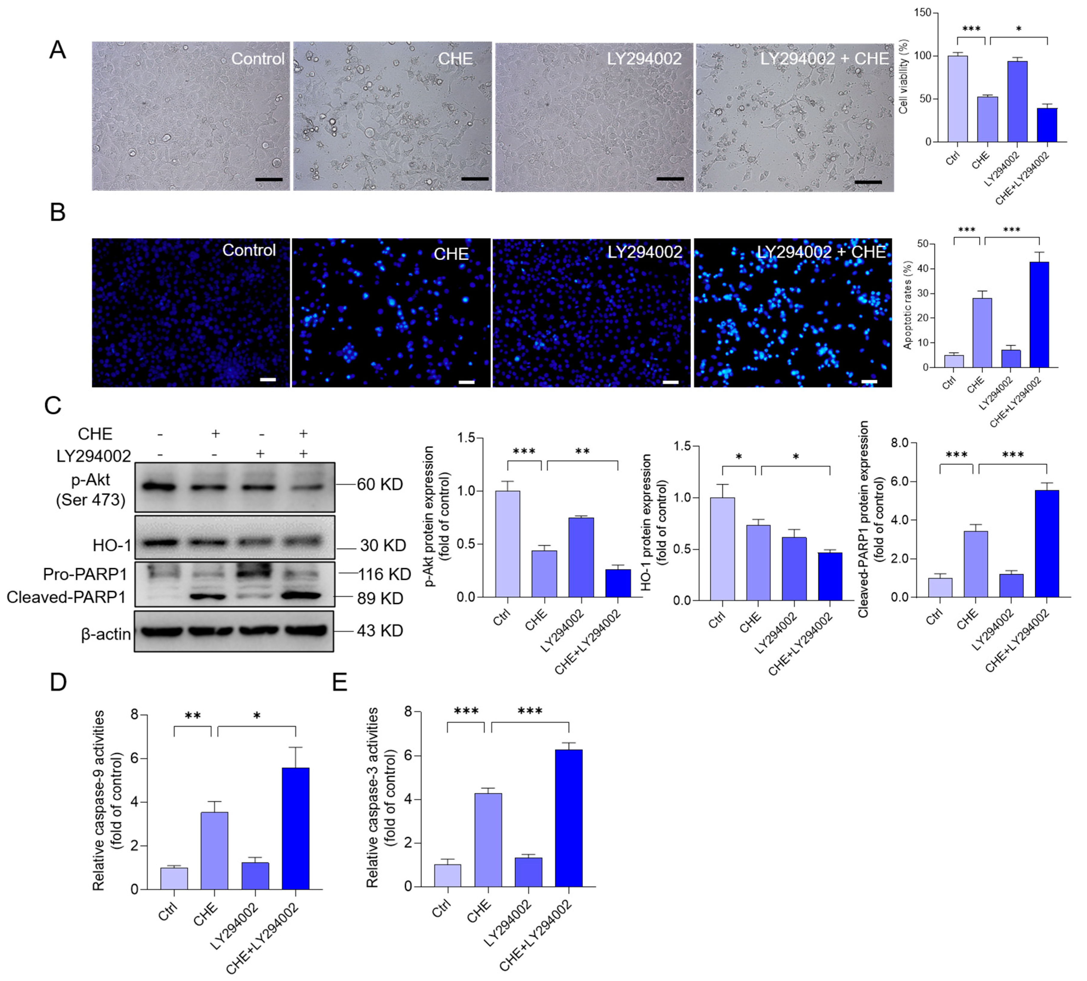 Antioxidants 11 01837 g007