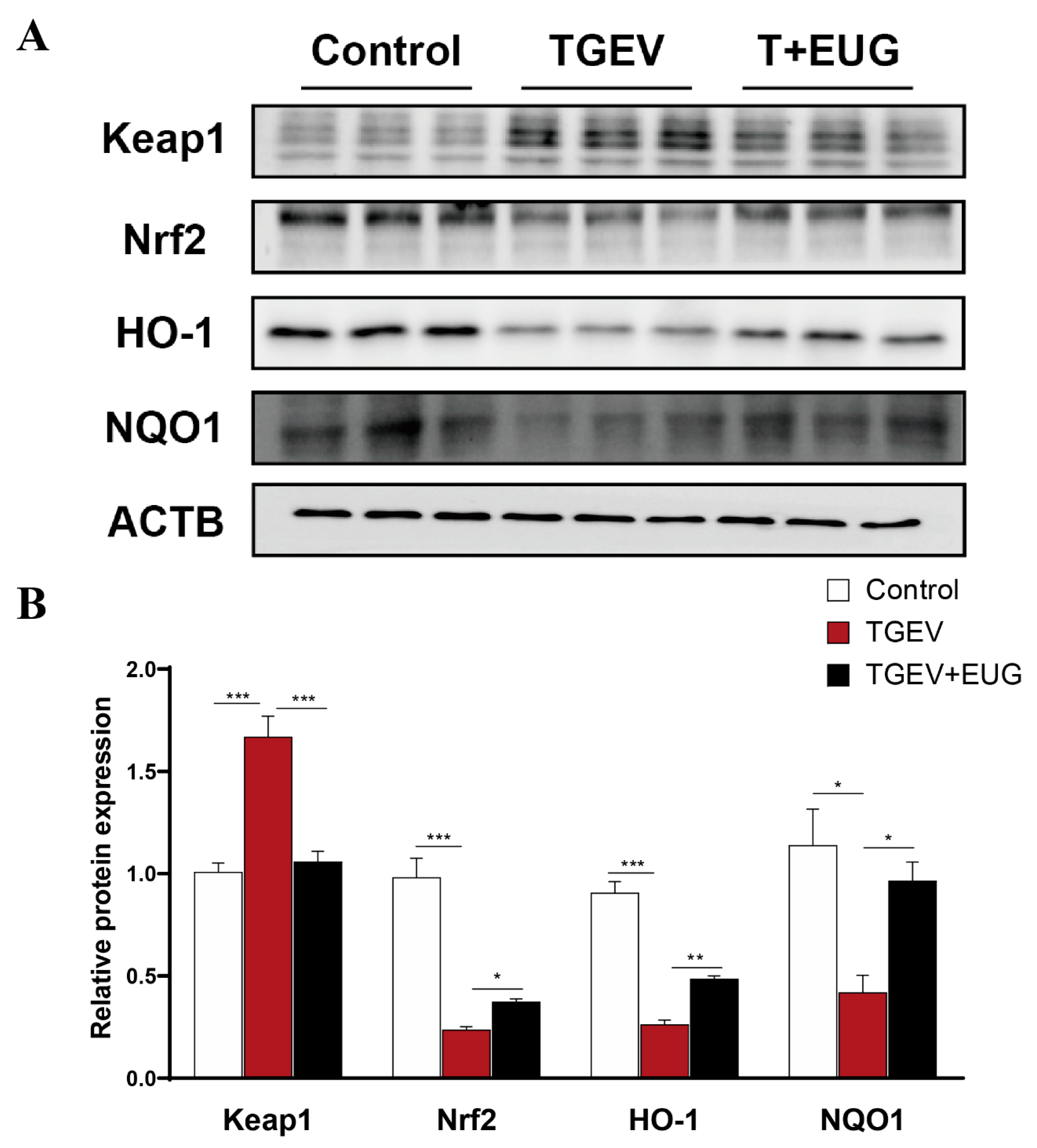 Antioxidants 11 01838 g008 Antioxidants 11 01838 g008