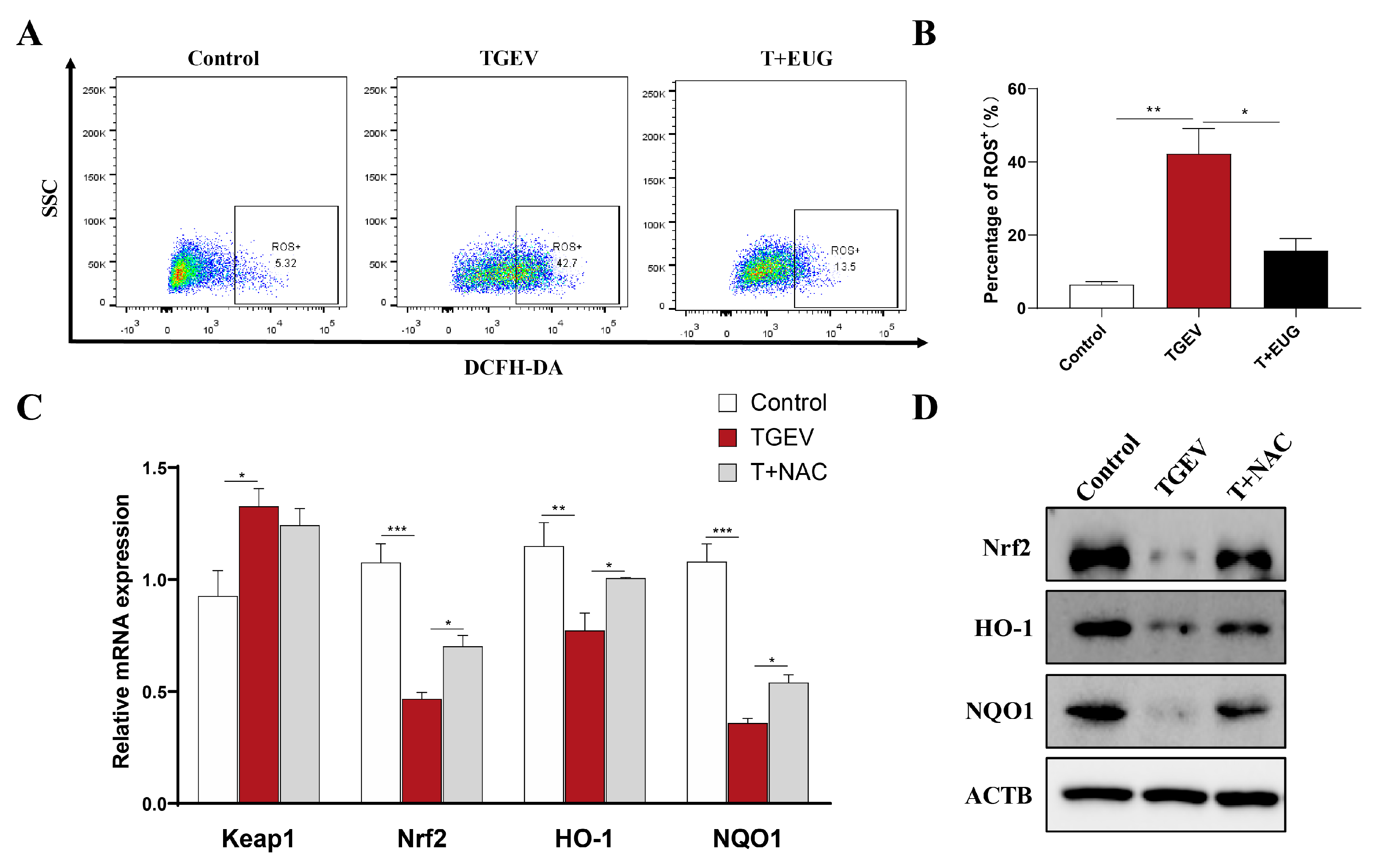 Antioxidants 11 01838 g009 Antioxidants 11 01838 g009