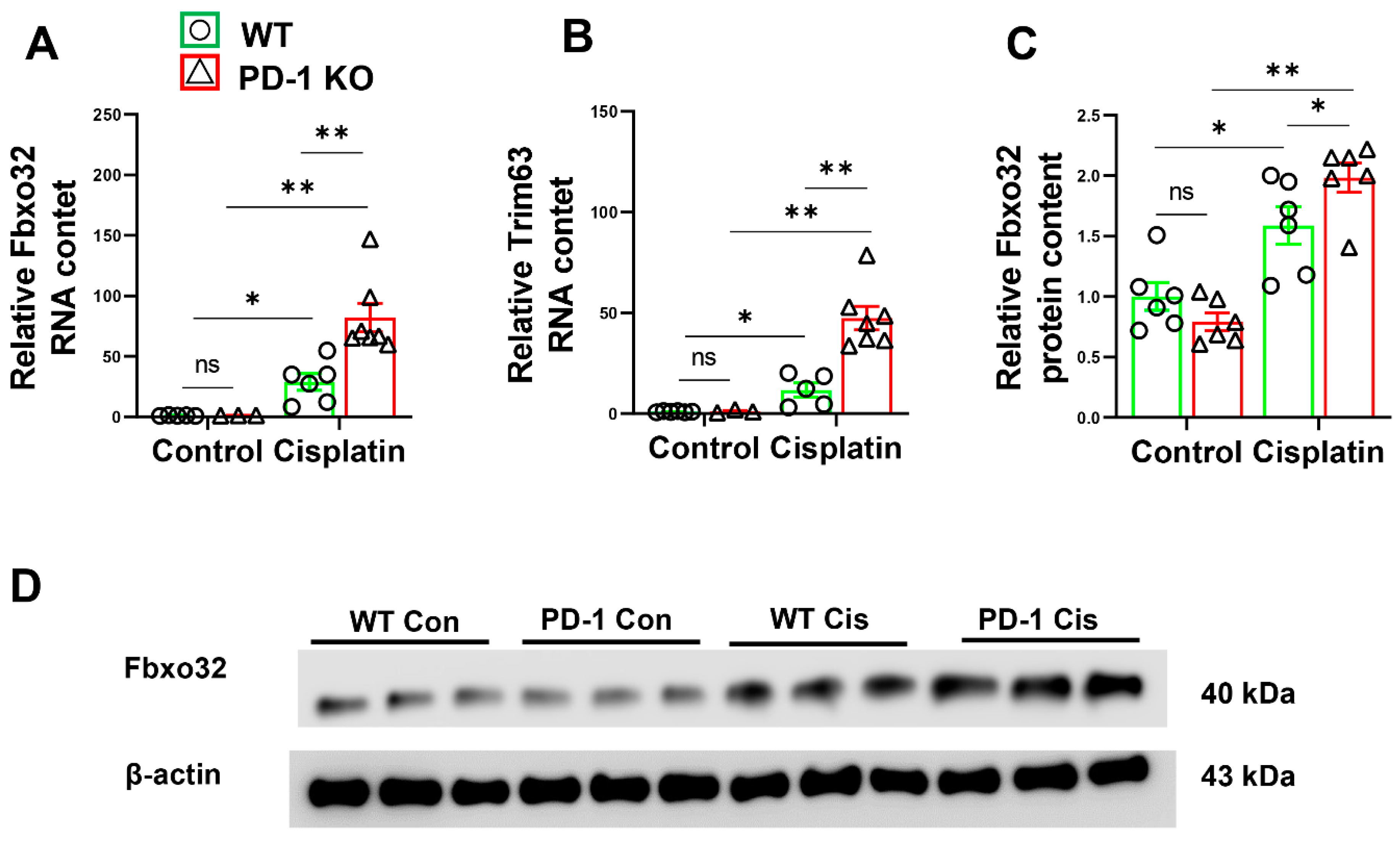 Antioxidants 11 01839 g004