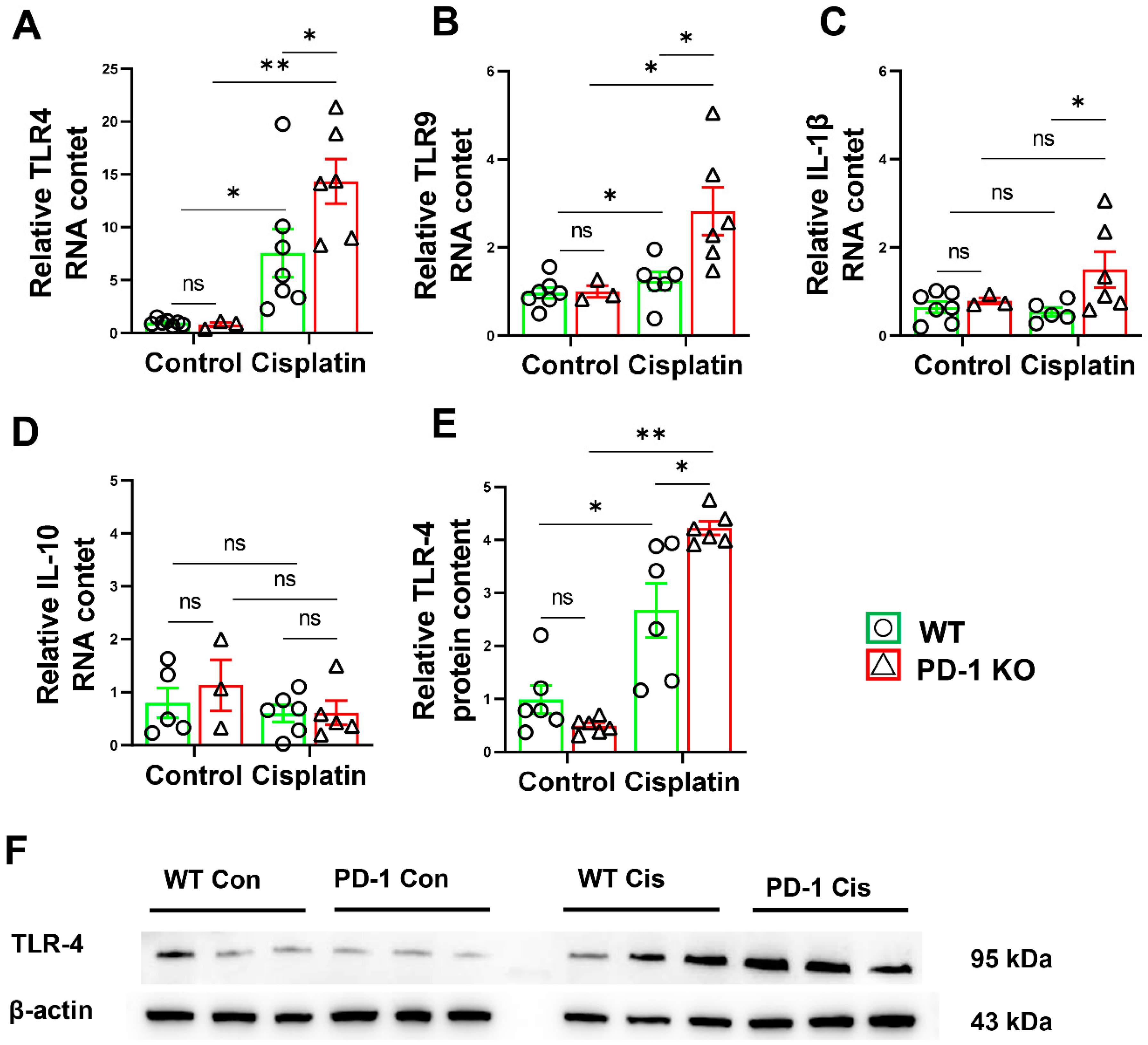 Antioxidants 11 01839 g005