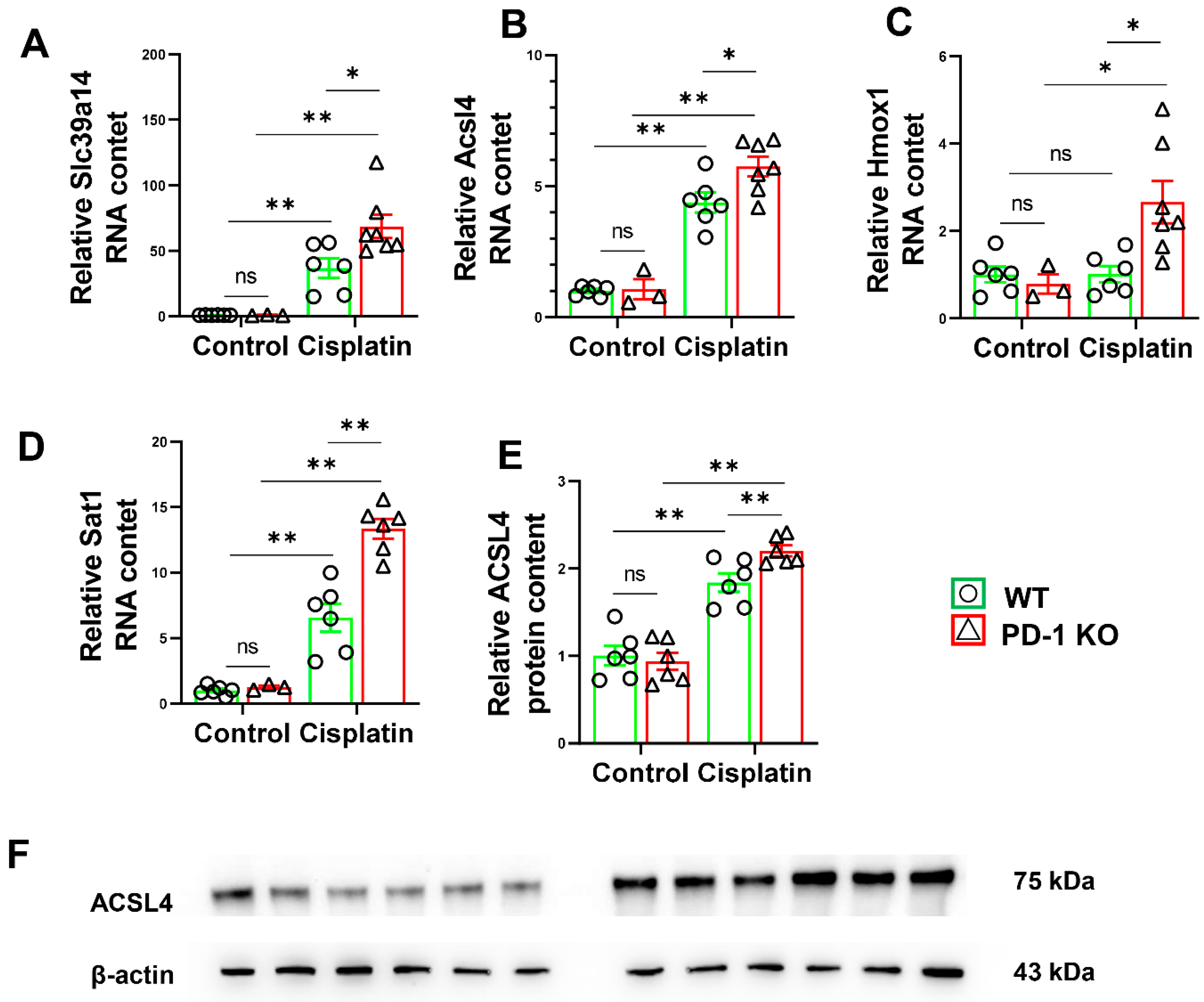 Antioxidants 11 01839 g007