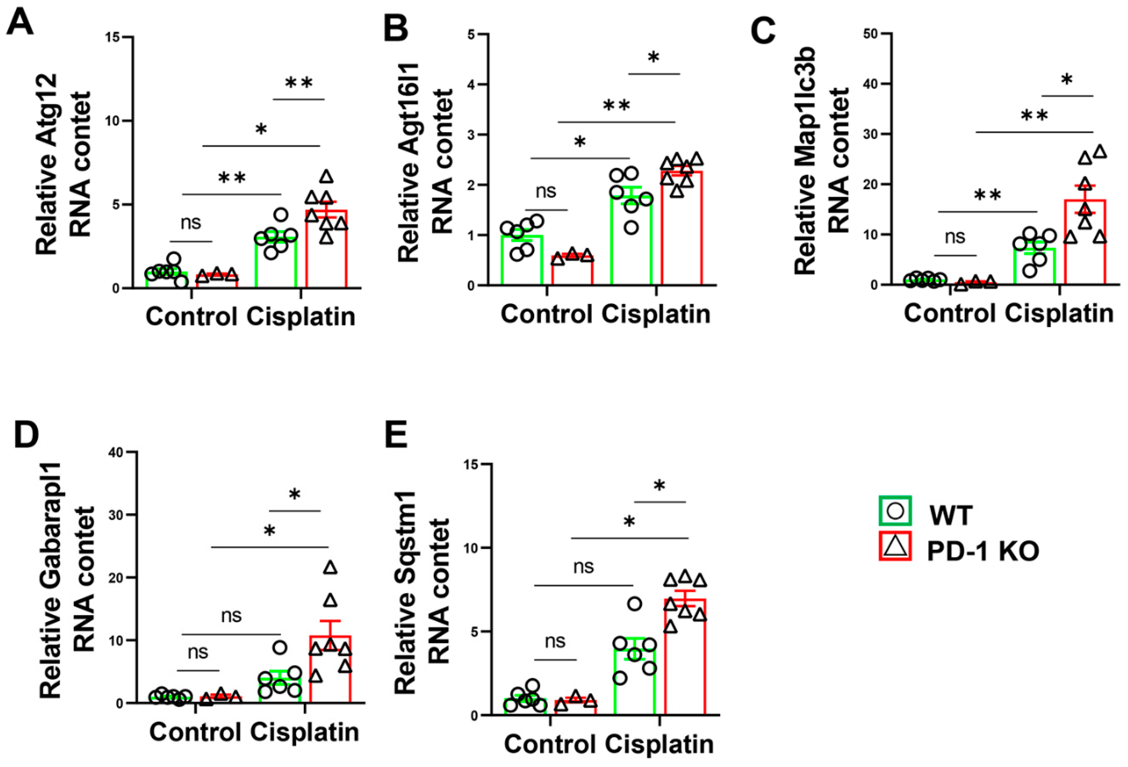 Antioxidants 11 01839 g008