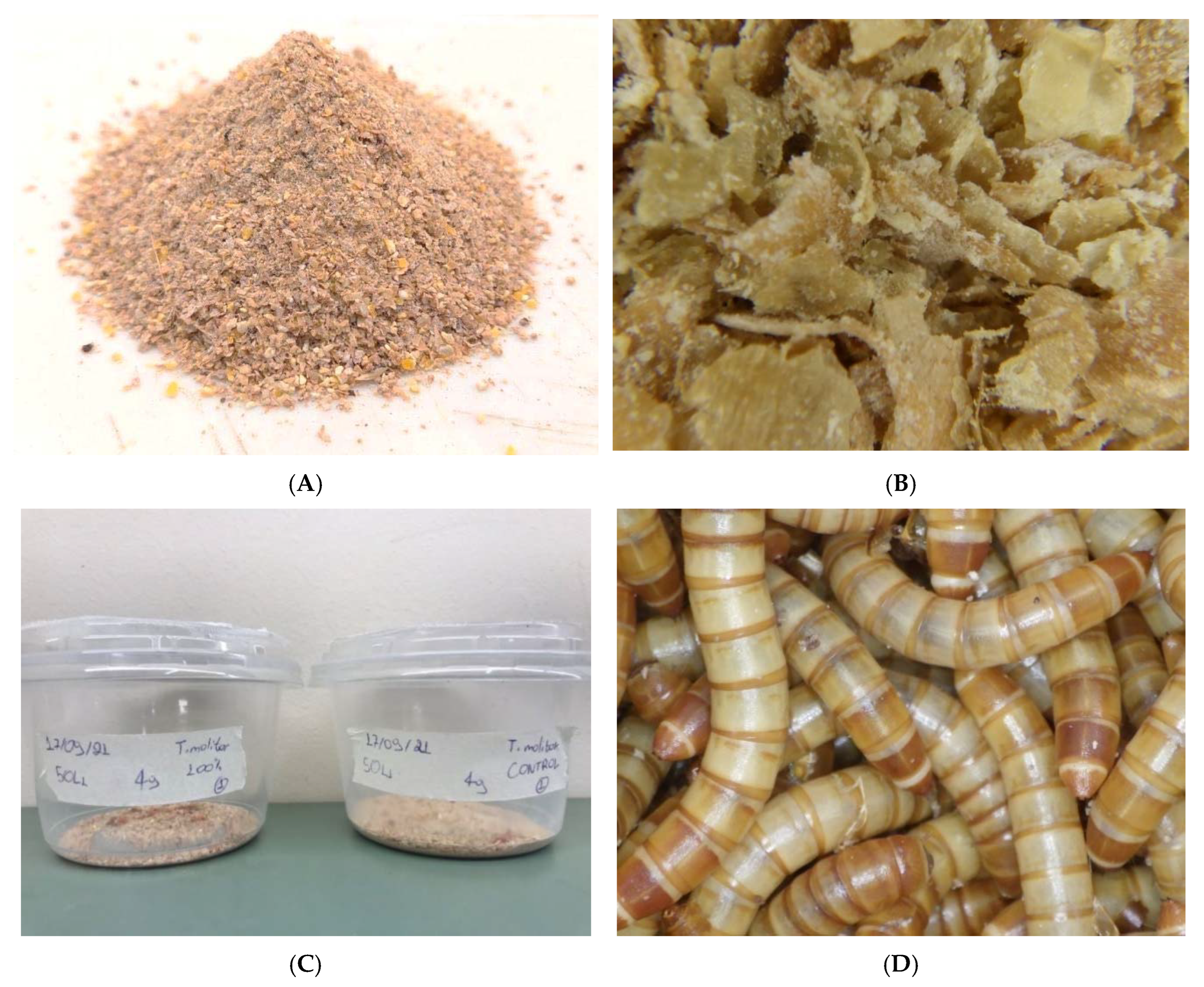 Antioxidants 11 01840 g002