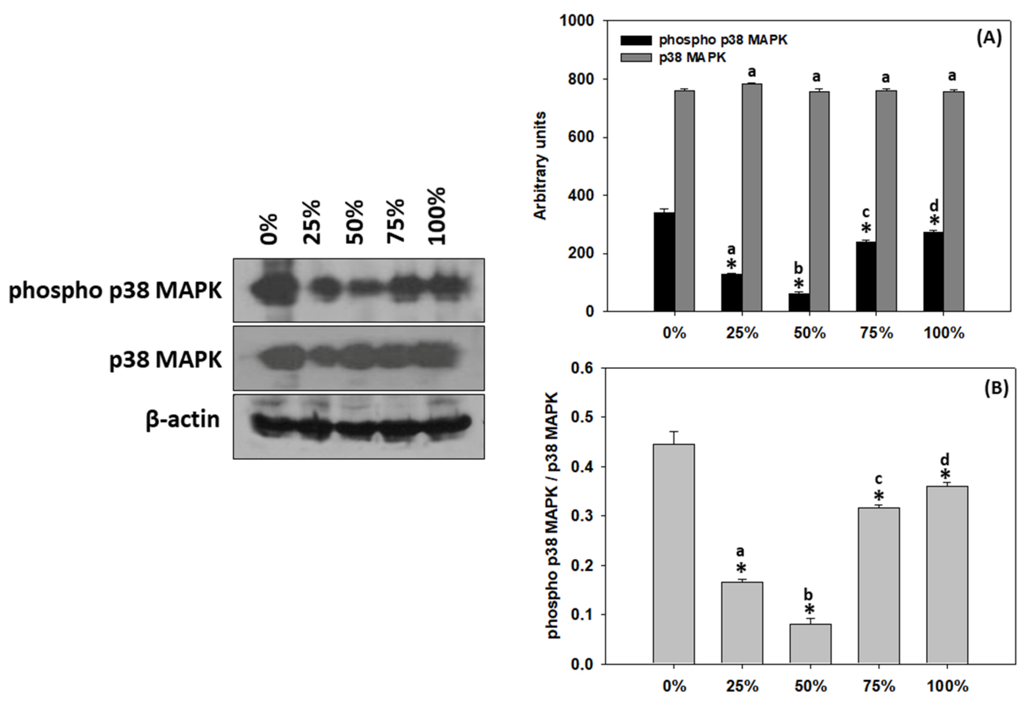 Antioxidants 11 01840 g007