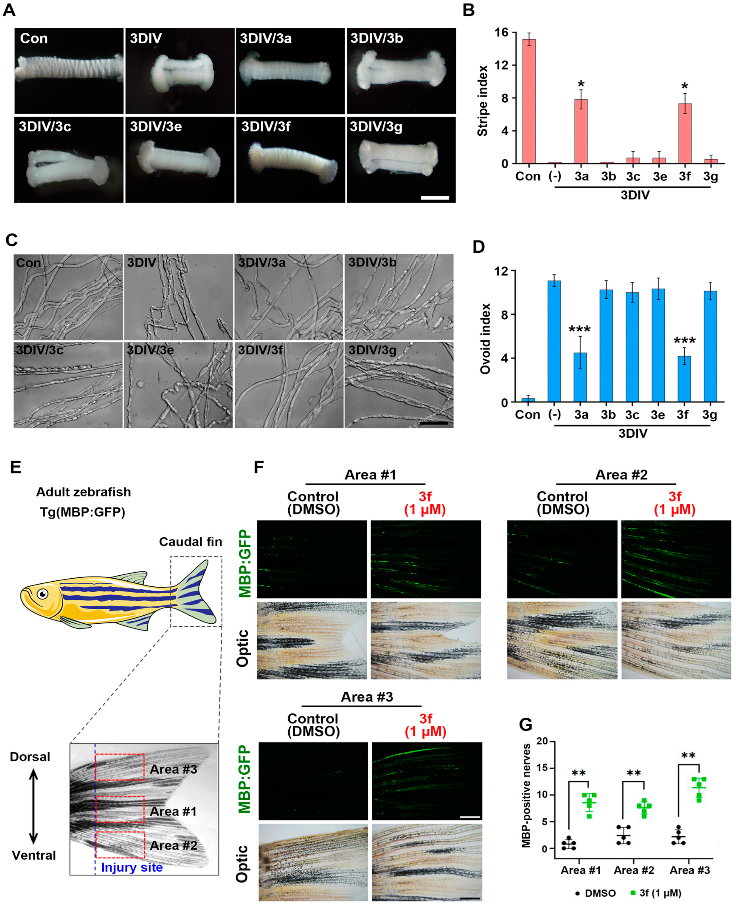 Antioxidants 11 01846 g004