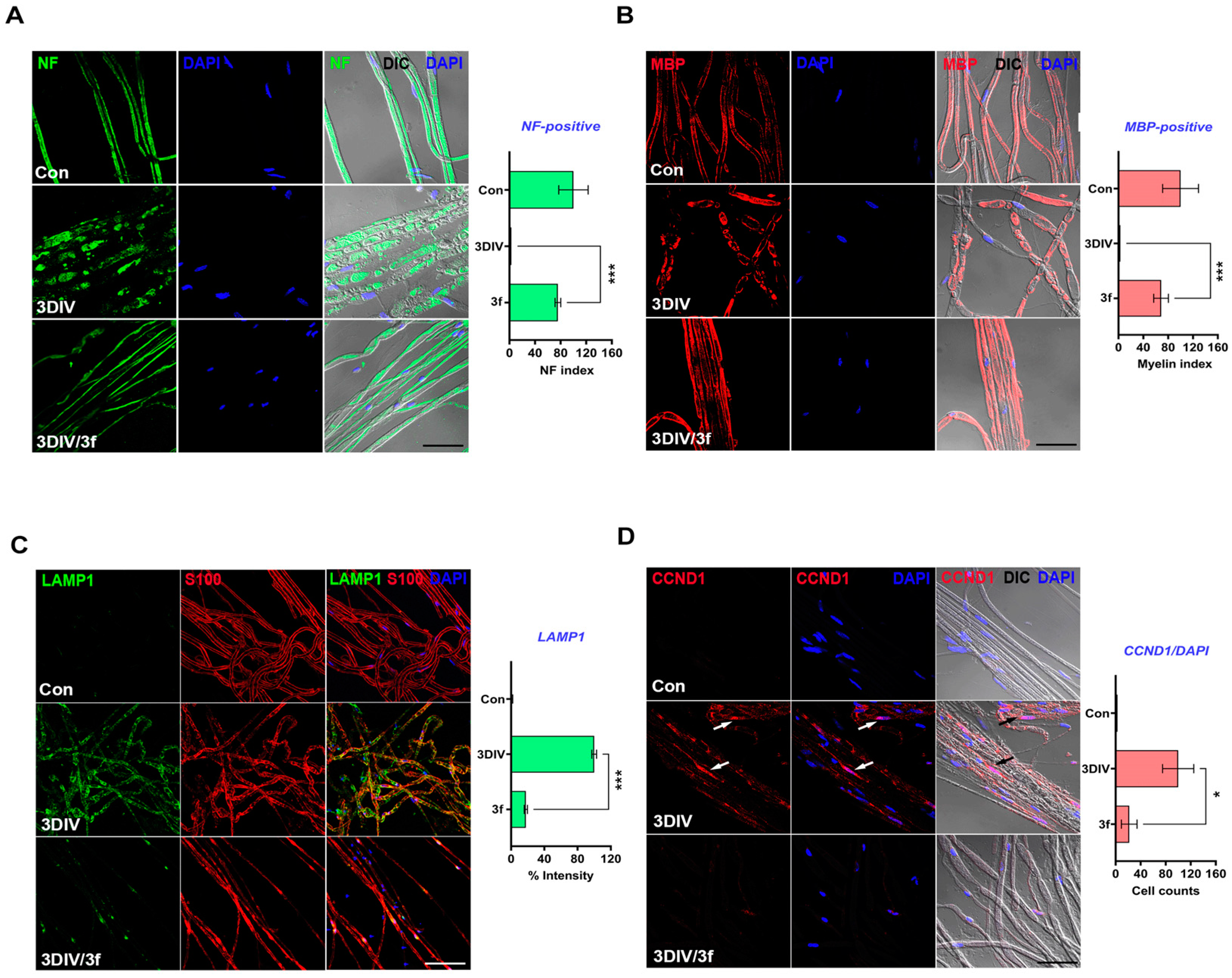 Antioxidants 11 01846 g005
