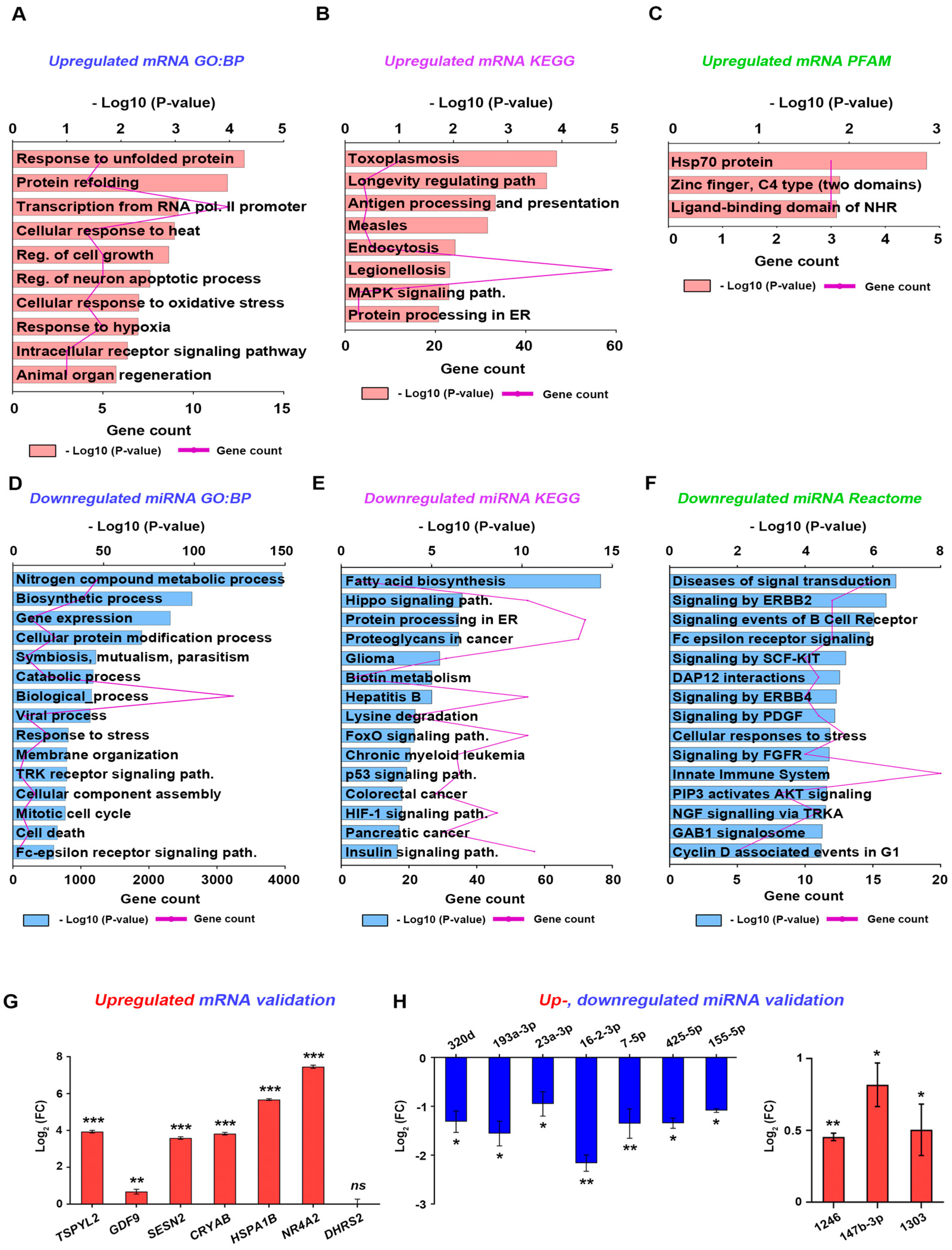 Antioxidants 11 01846 g006