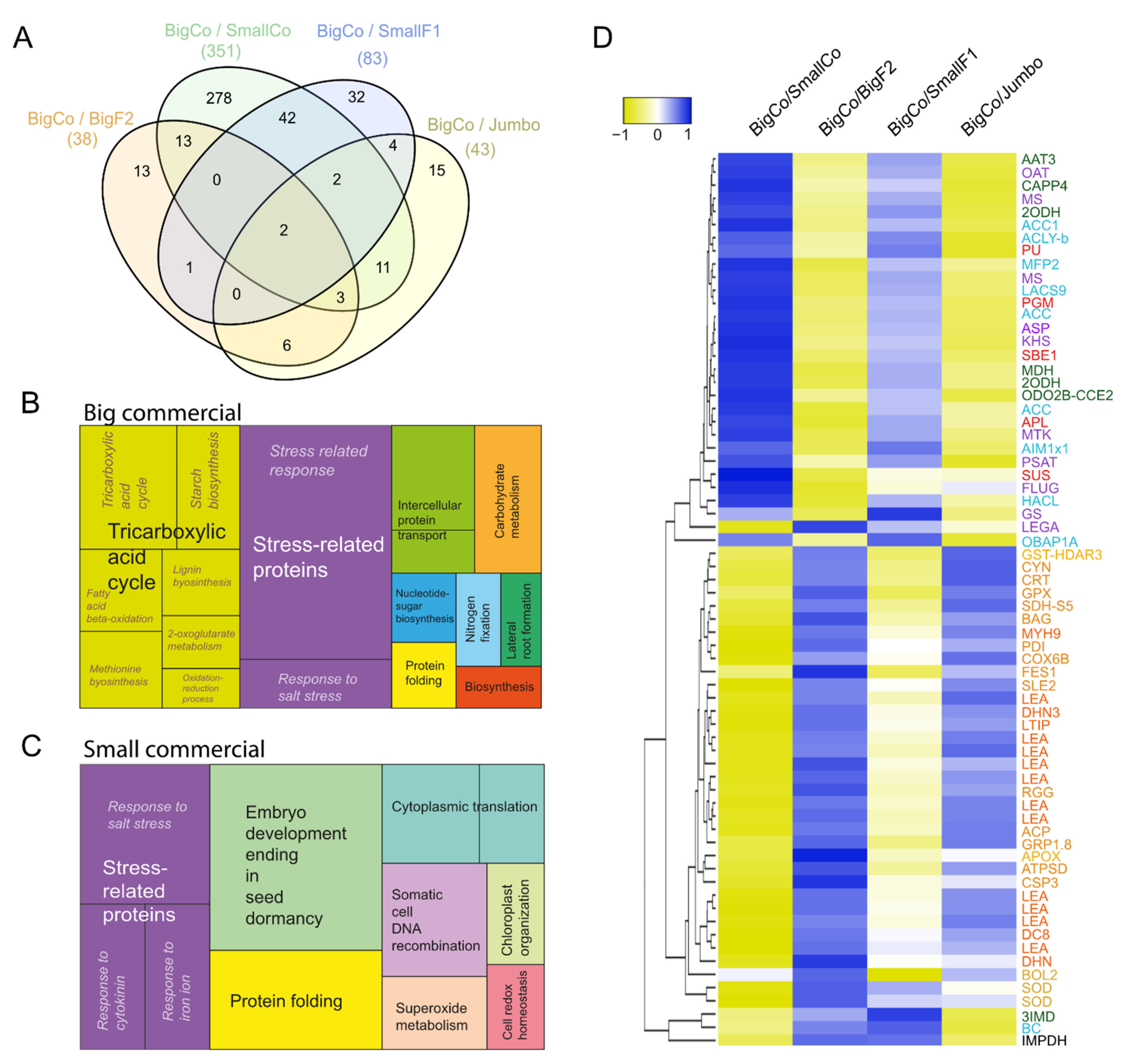 Antioxidants 11 01850 g003 Antioxidants 11 01850 g003