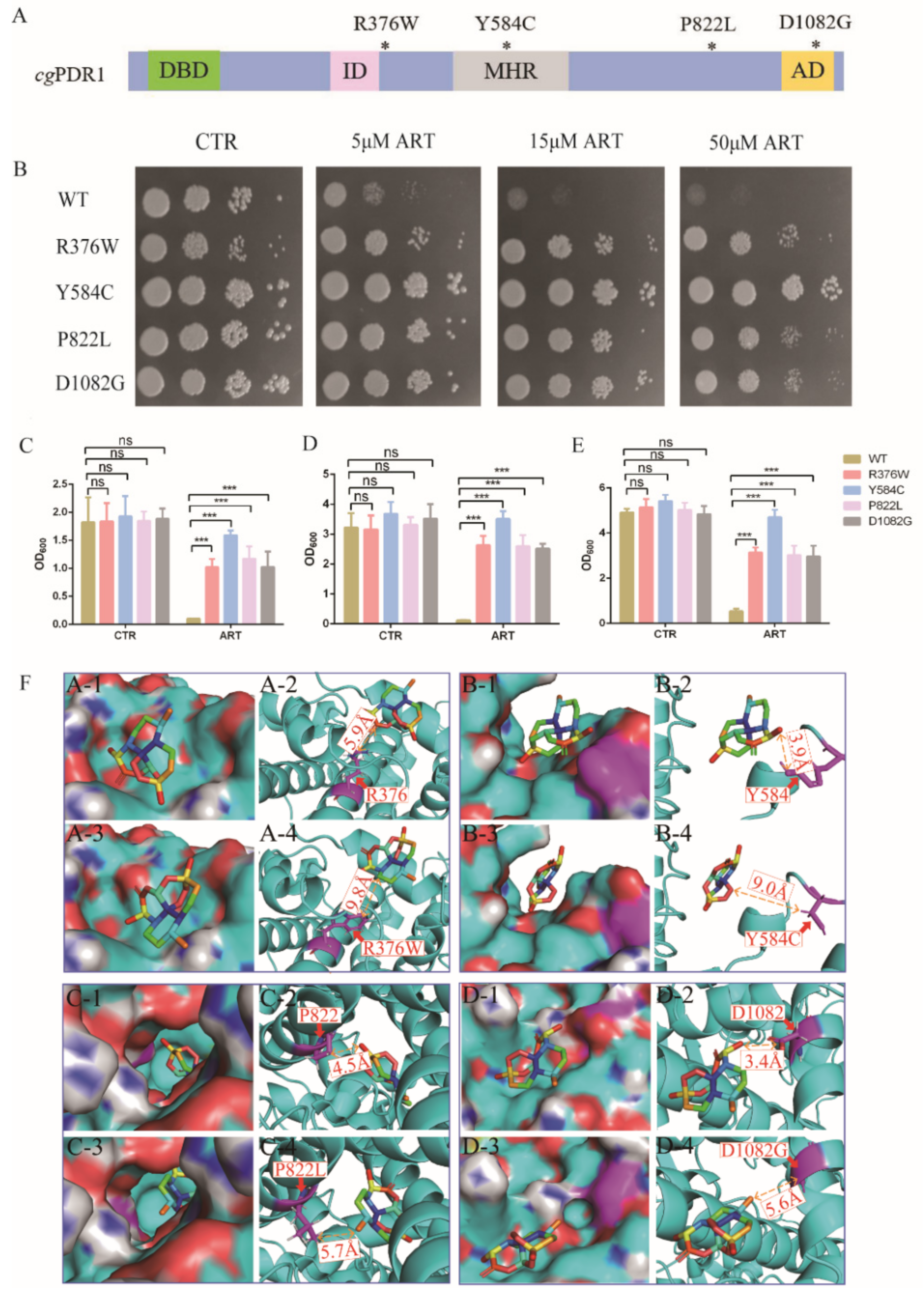 Antioxidants 11 01855 g003