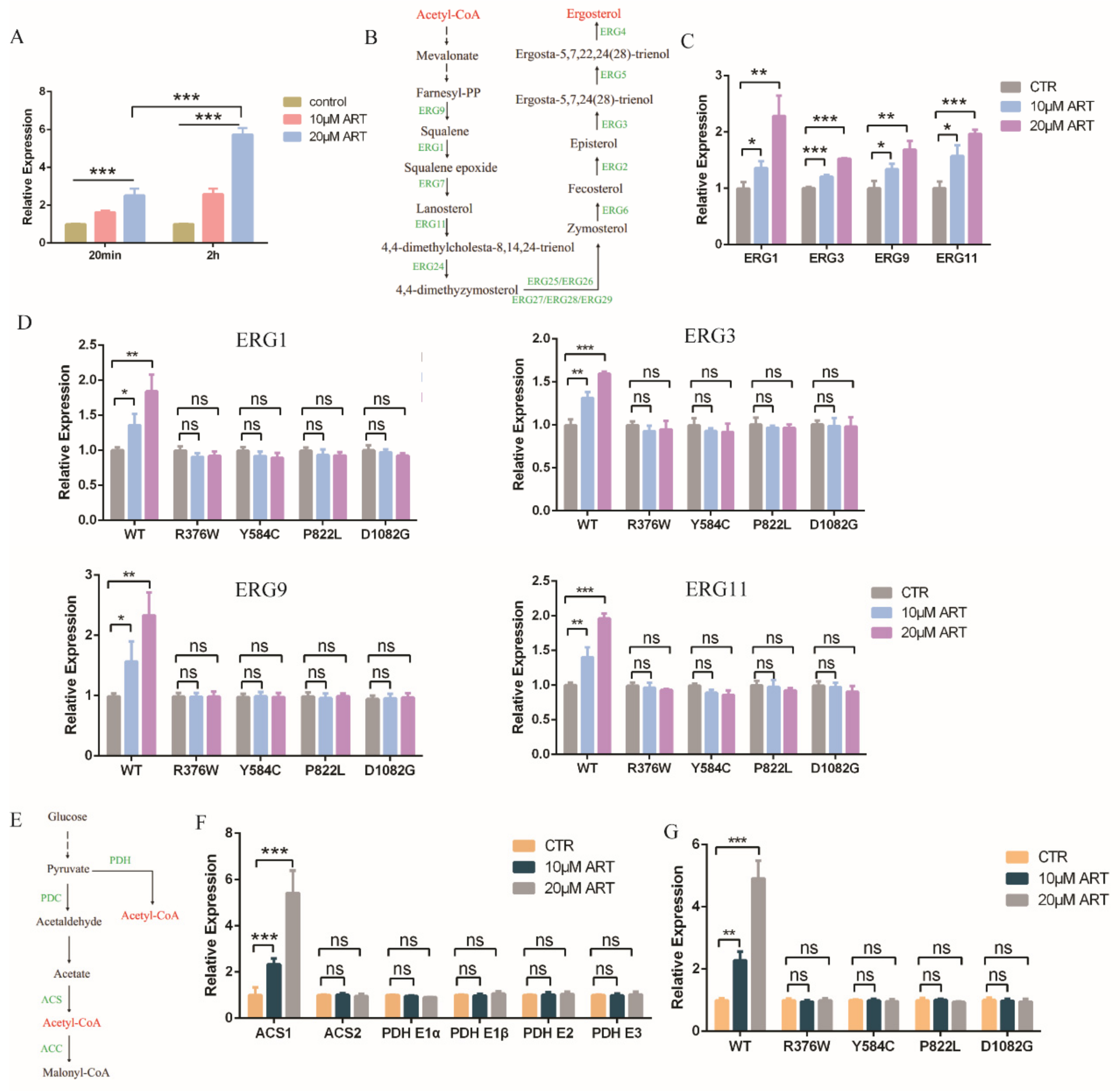Antioxidants 11 01855 g004