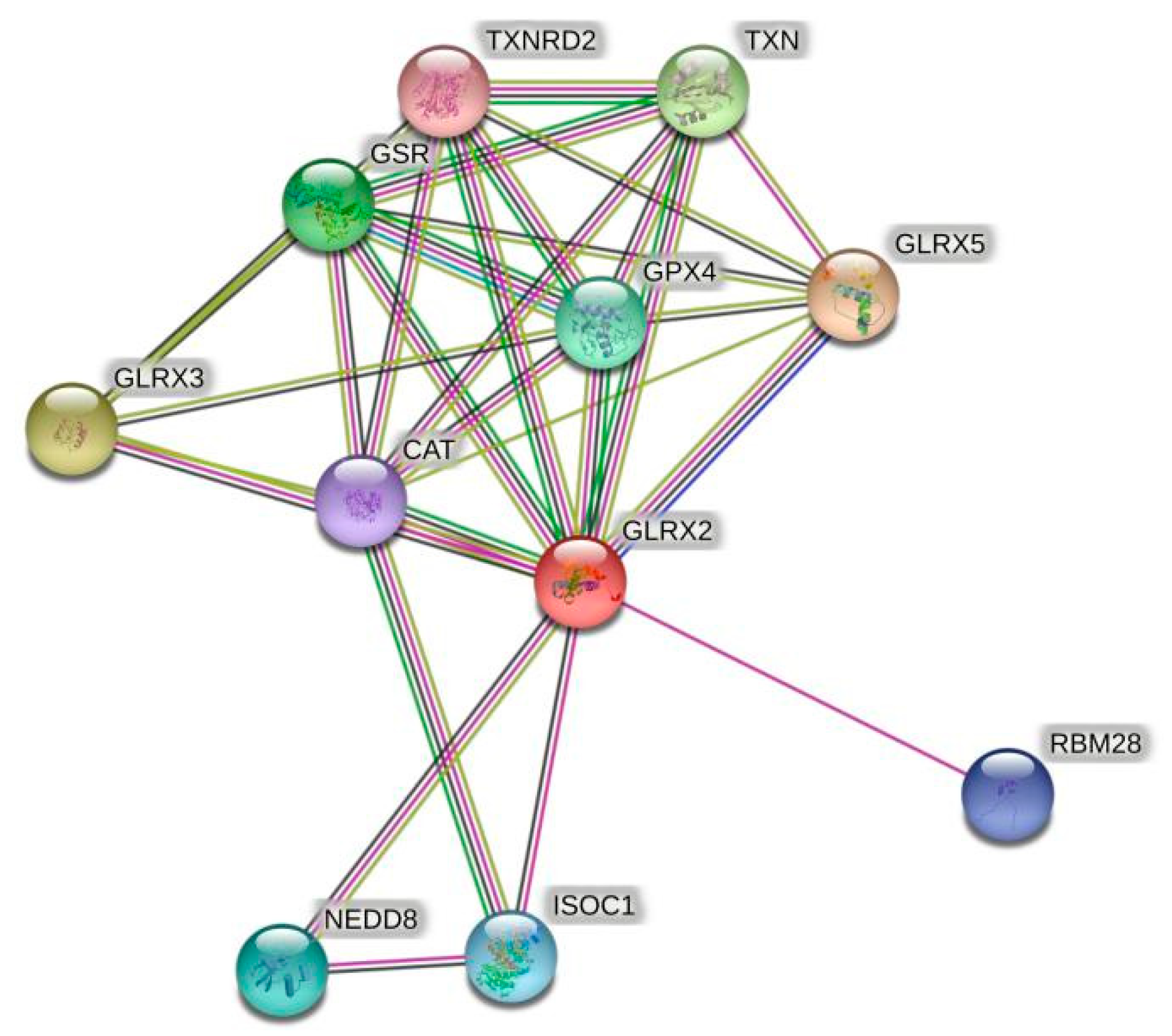 Antioxidants 11 01857 g001