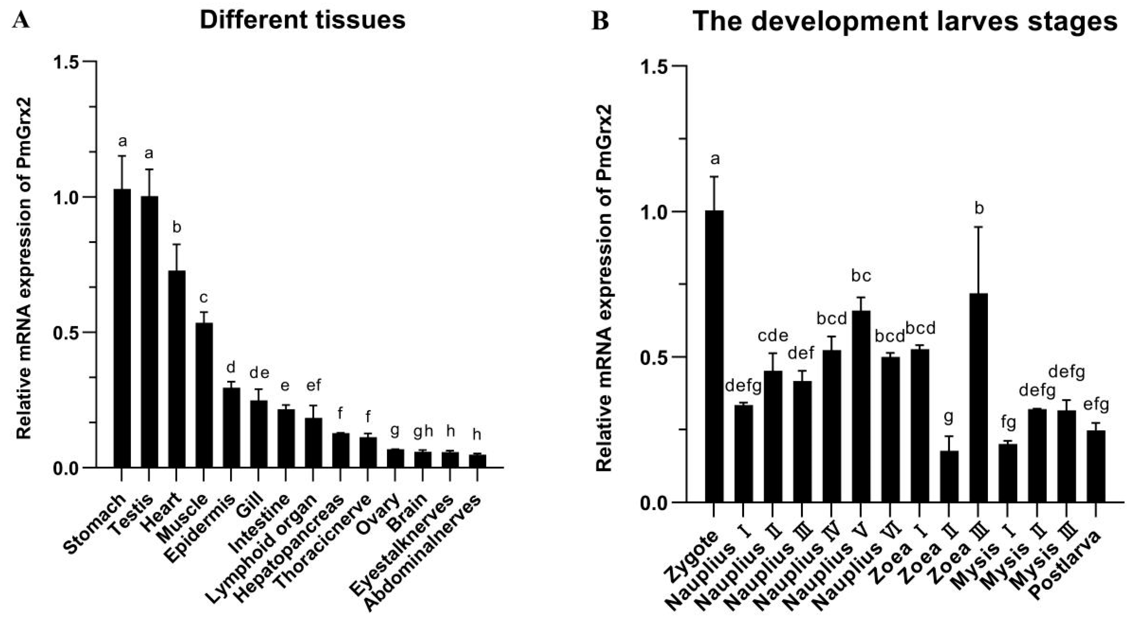 Antioxidants 11 01857 g002
