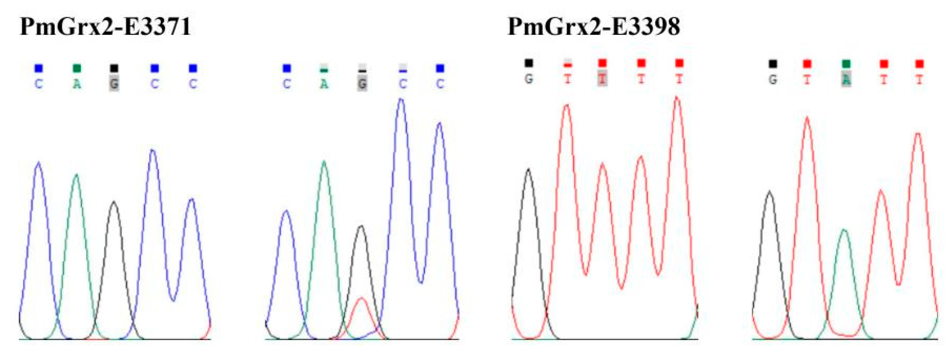 Antioxidants 11 01857 g007