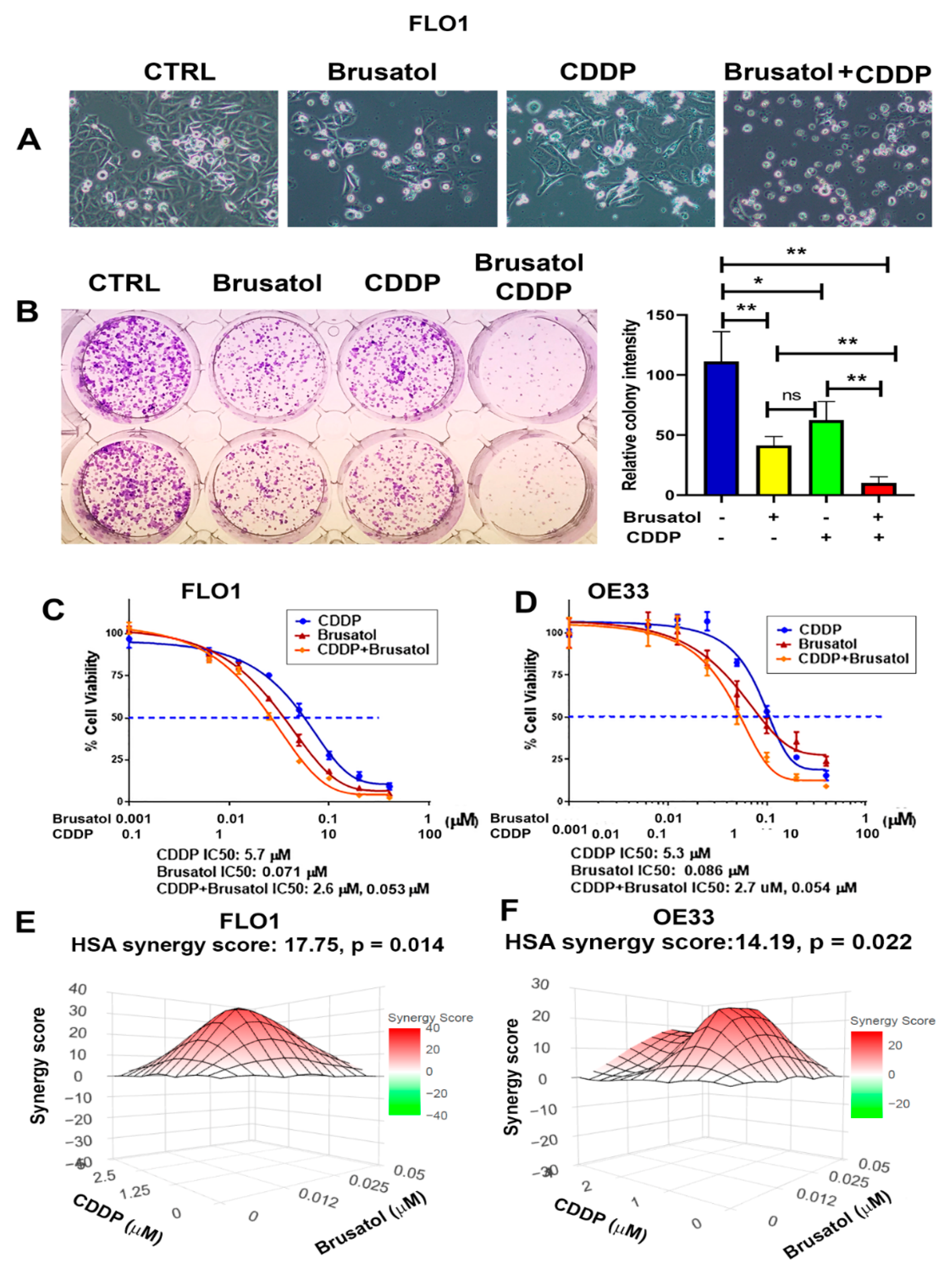 Antioxidants 11 01859 g005