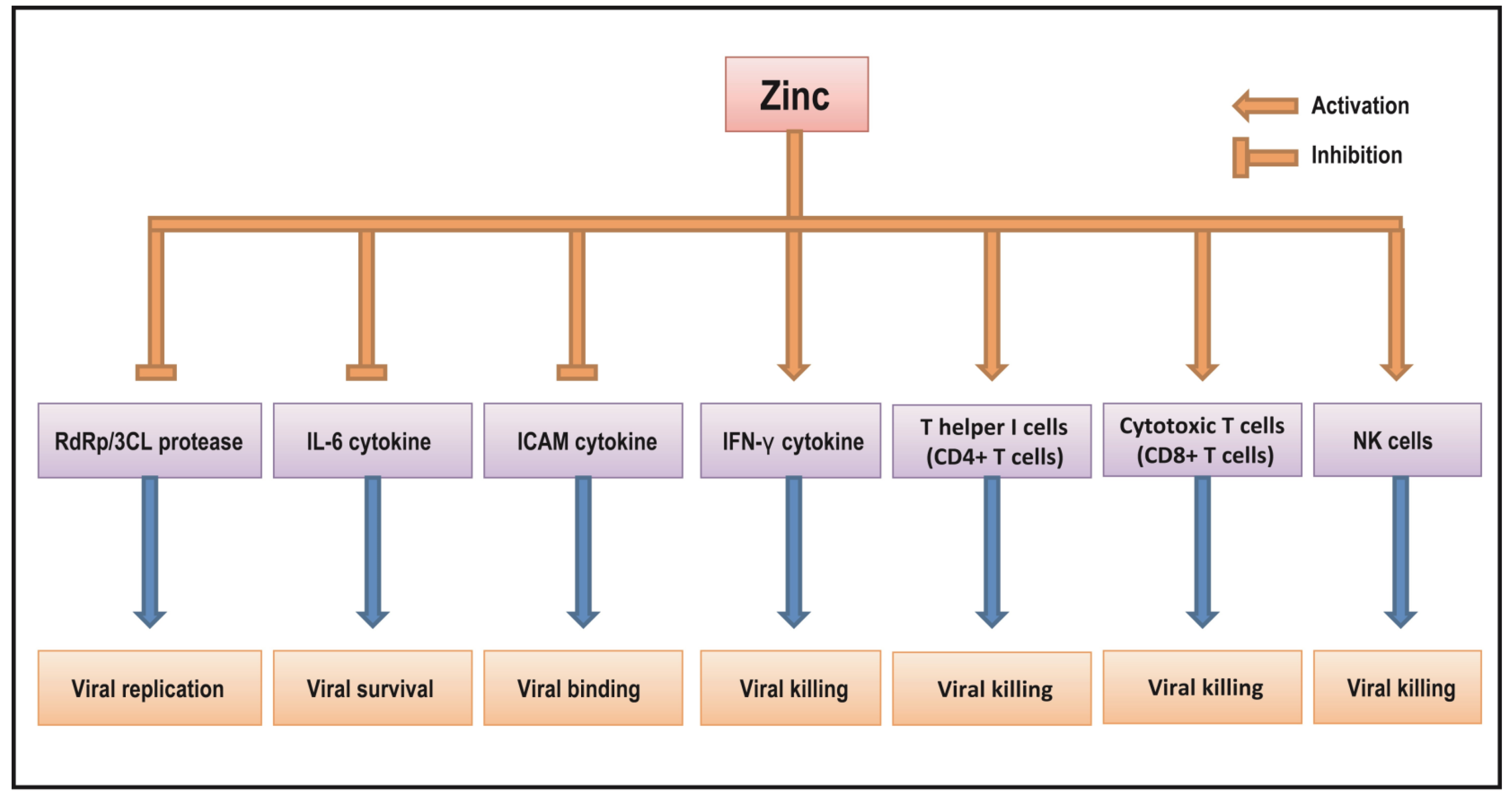 Antioxidants 11 01862 g001
