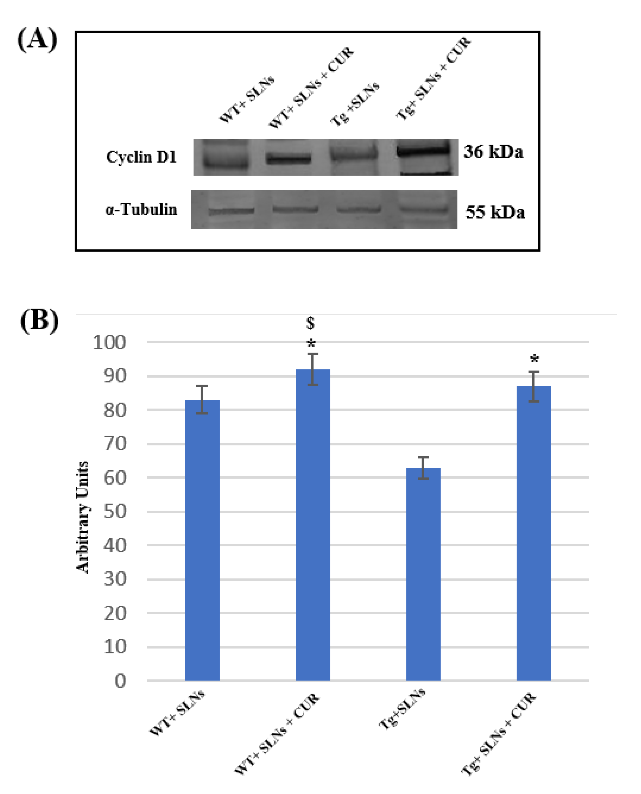 Antioxidants 11 01863 g003