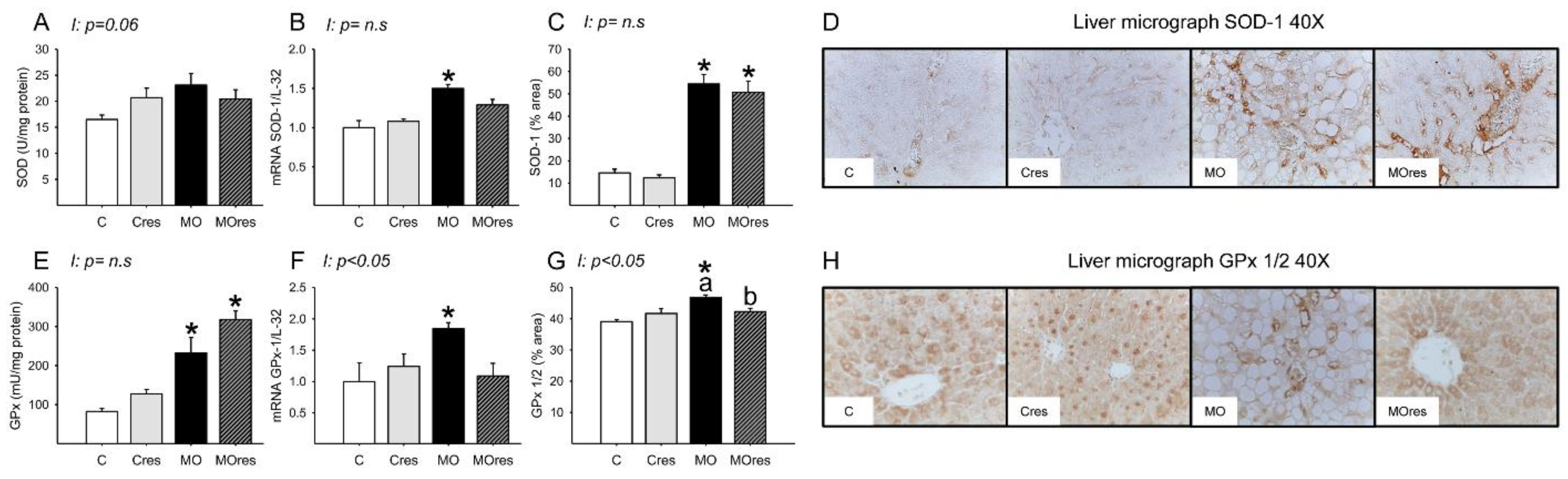Antioxidants 11 01871 g005