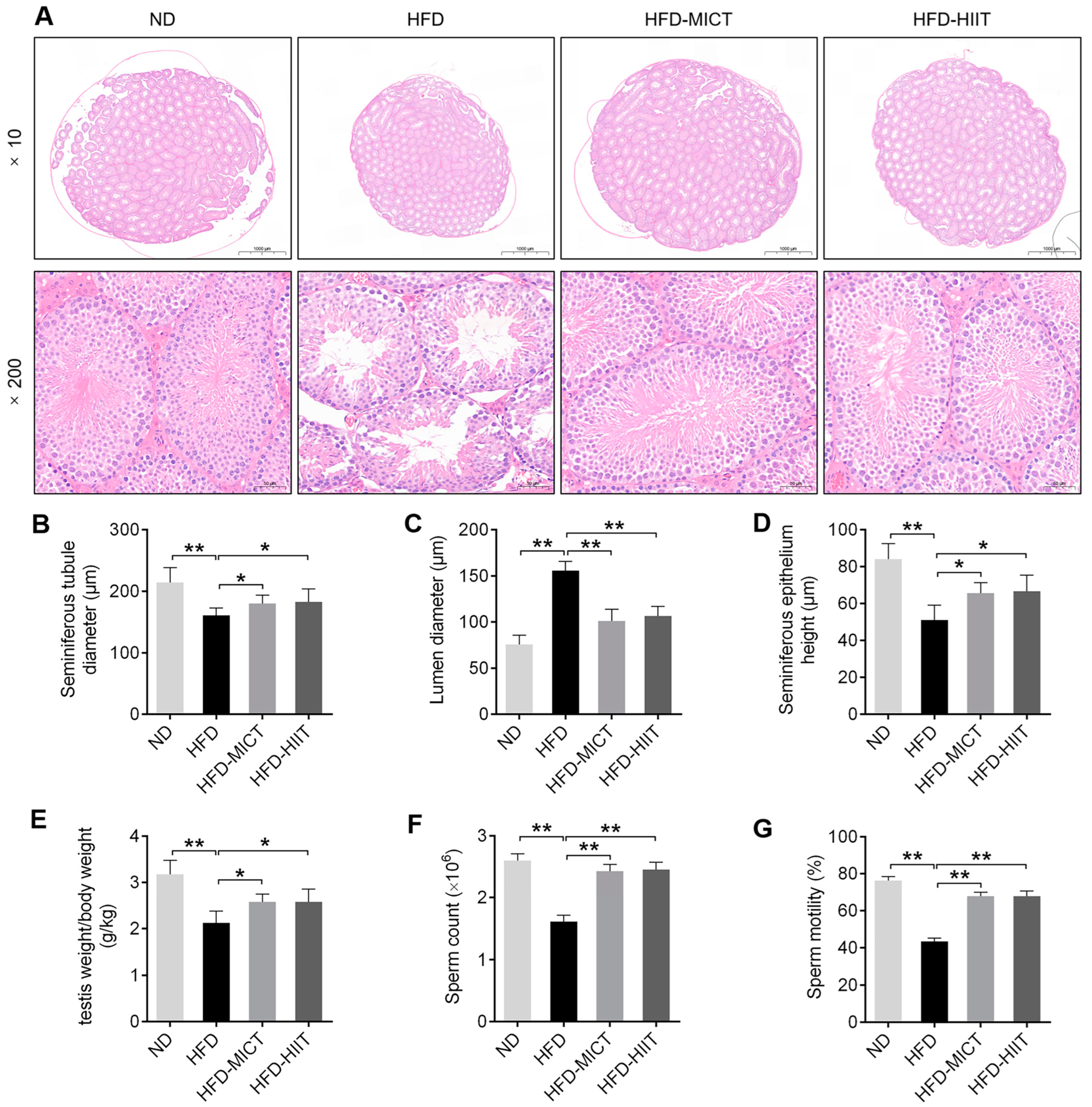 Antioxidants 11 01874 g002