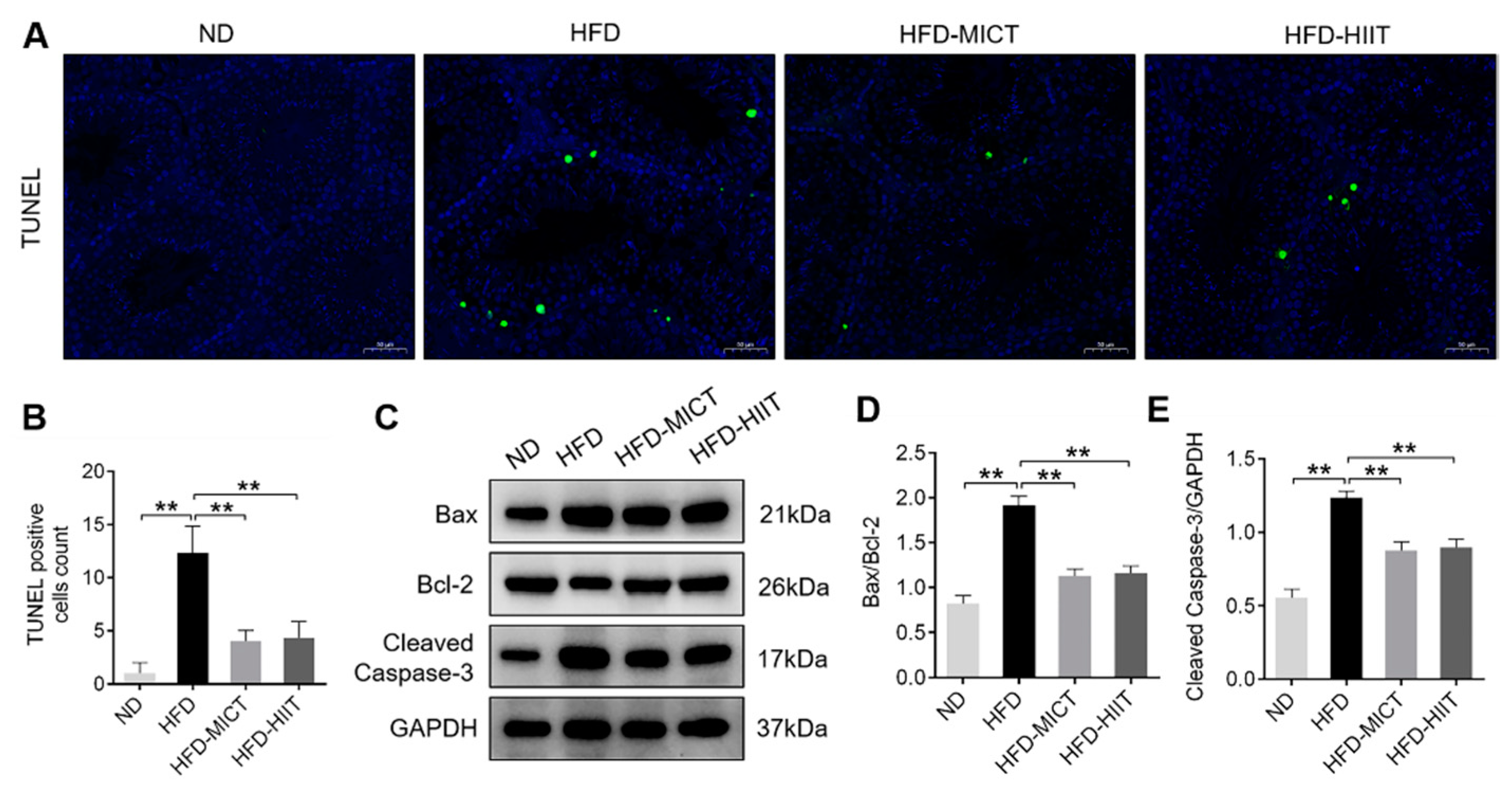 Antioxidants 11 01874 g006
