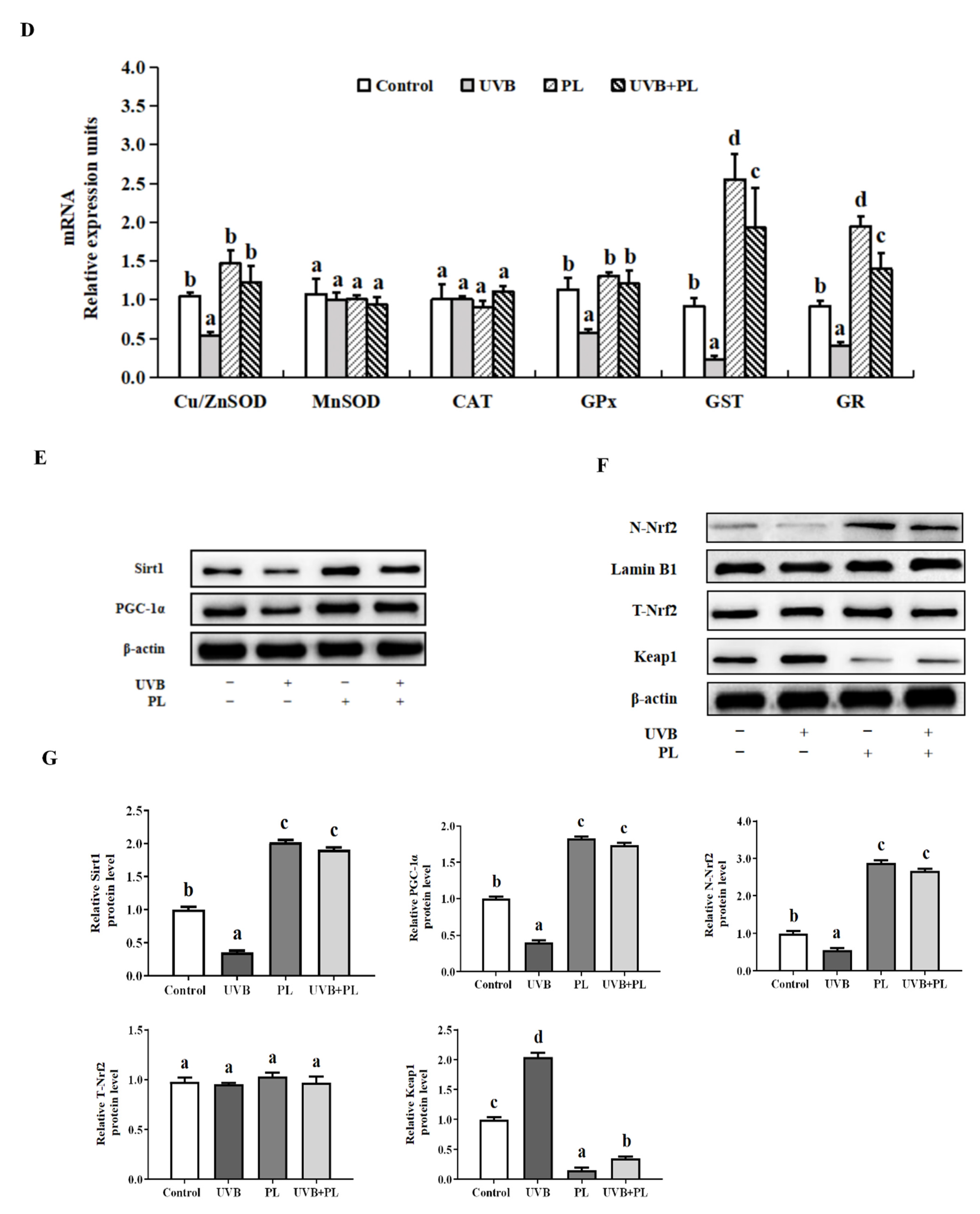 Antioxidants 11 01875 g003b