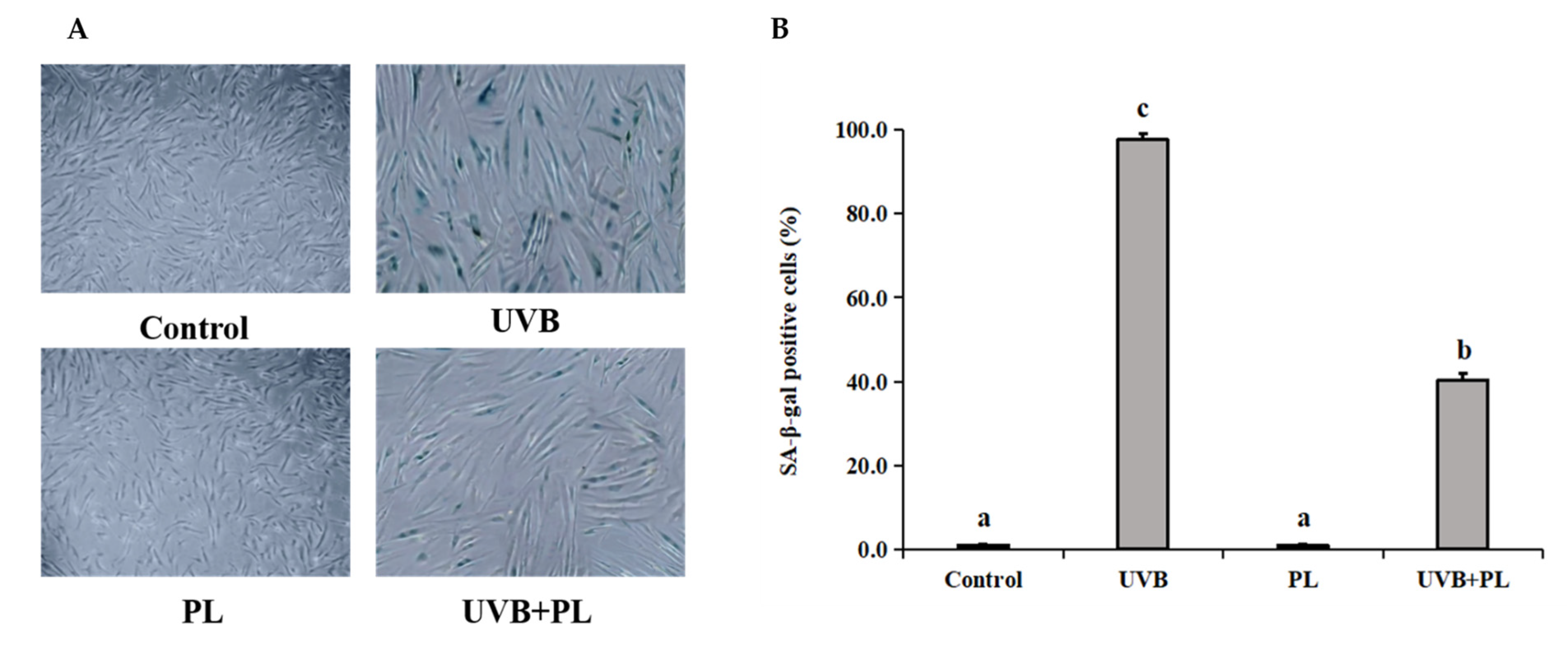 Antioxidants 11 01875 g004