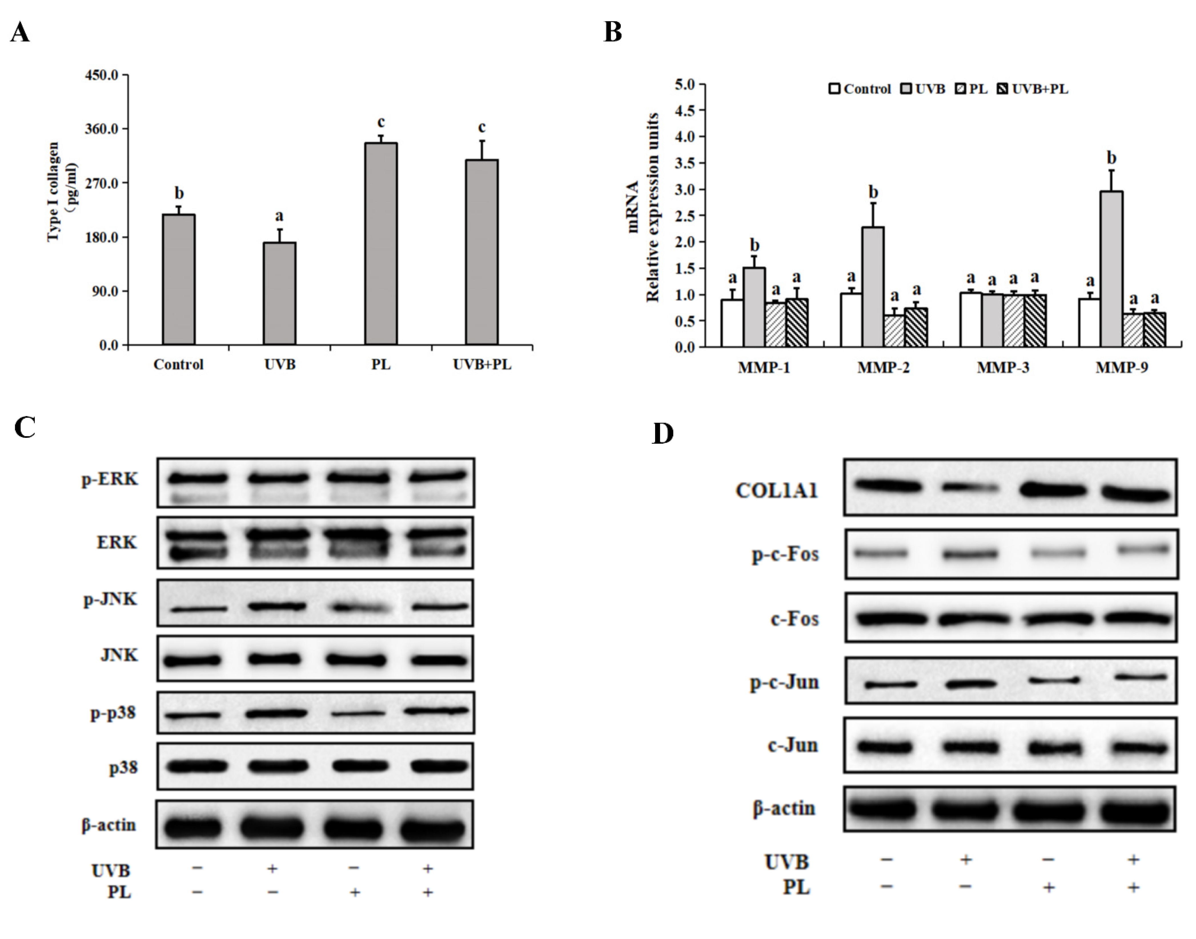 Antioxidants 11 01875 g005a