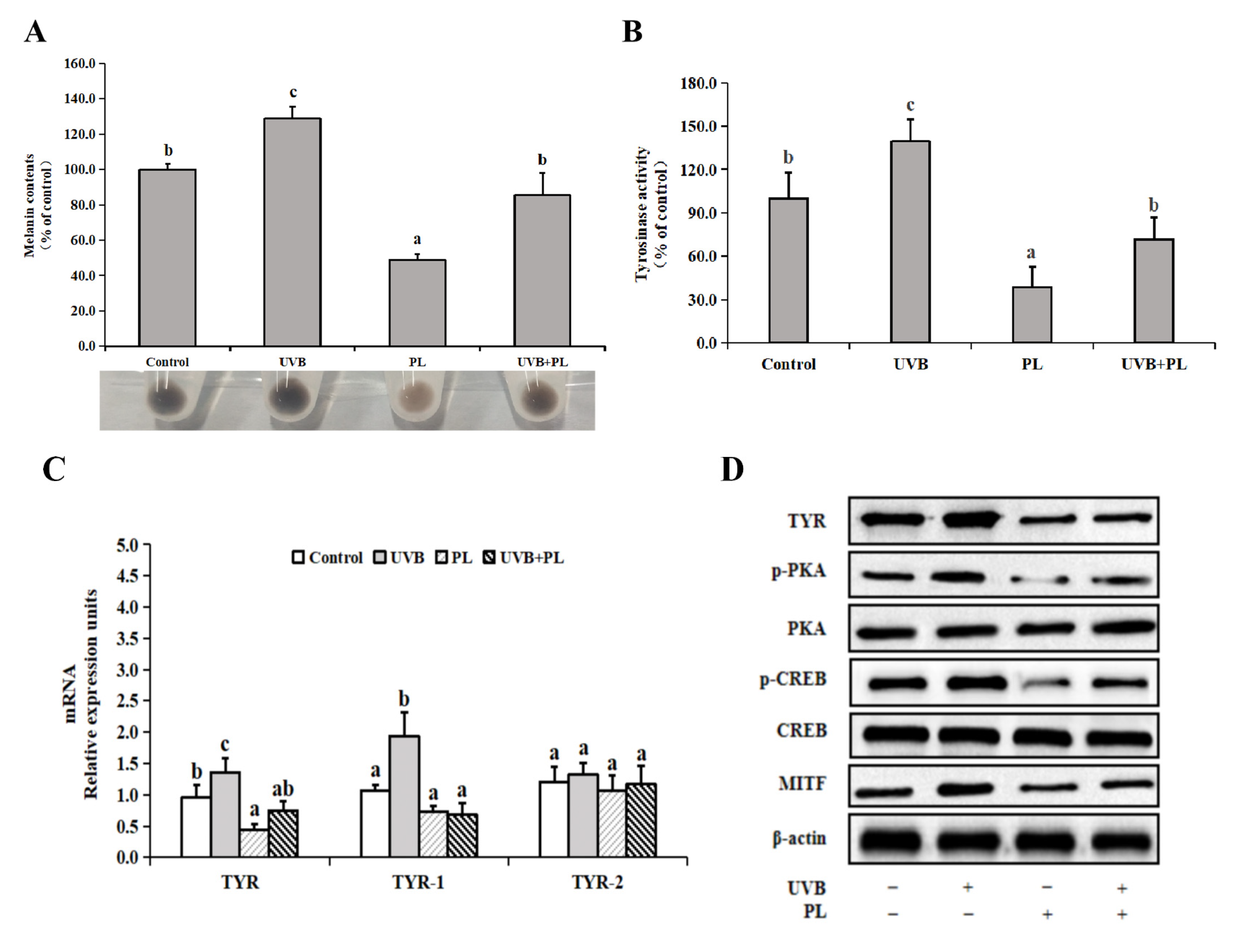 Antioxidants 11 01875 g006a