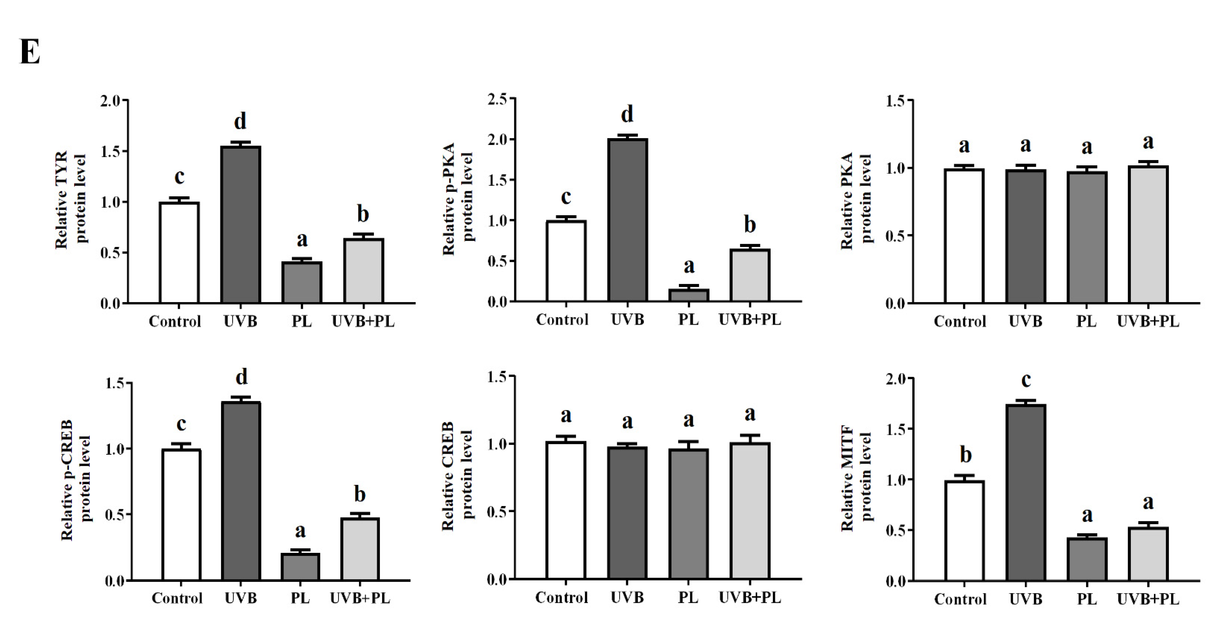 Antioxidants 11 01875 g006b