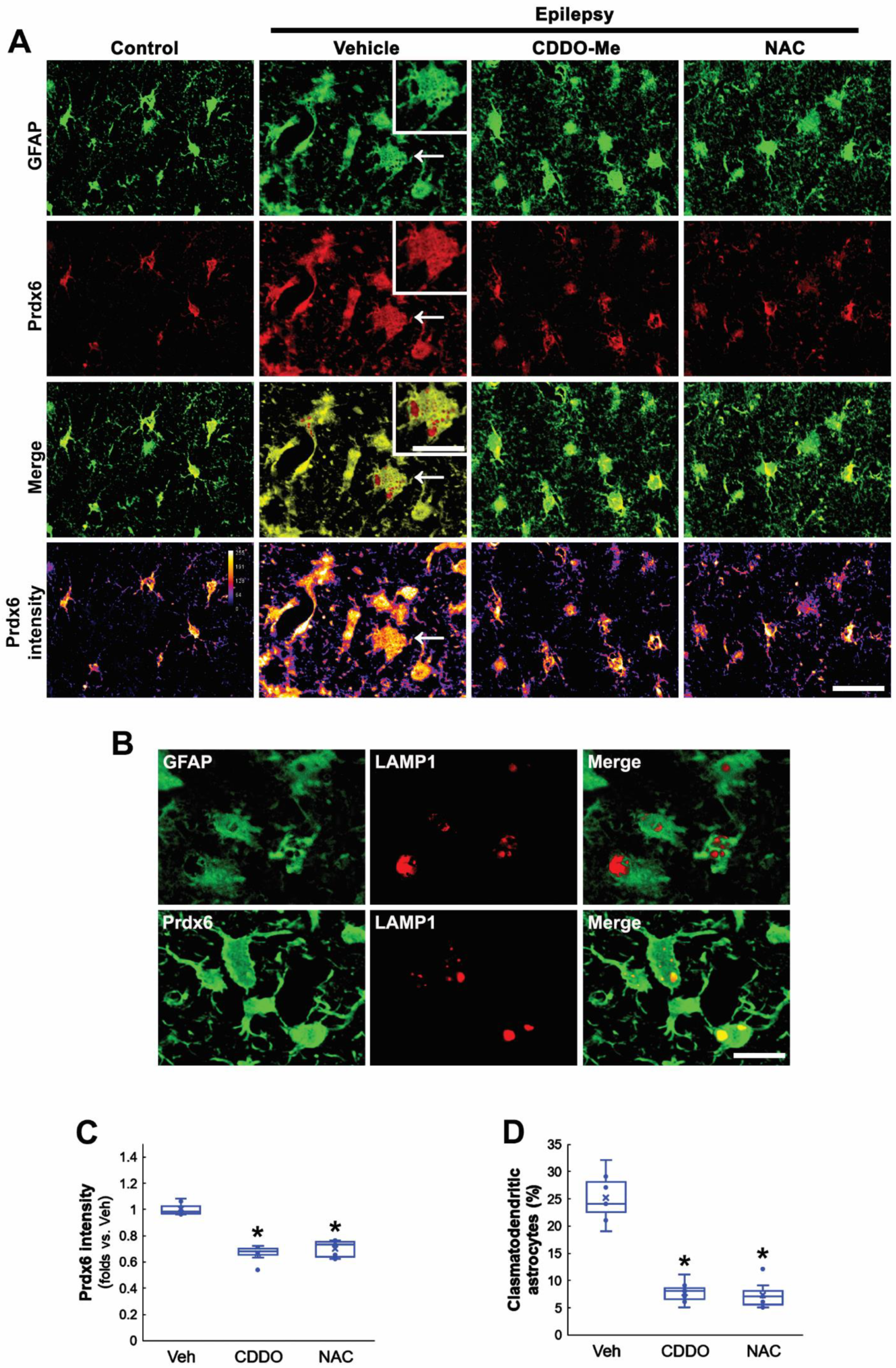 Antioxidants 11 01883 g002