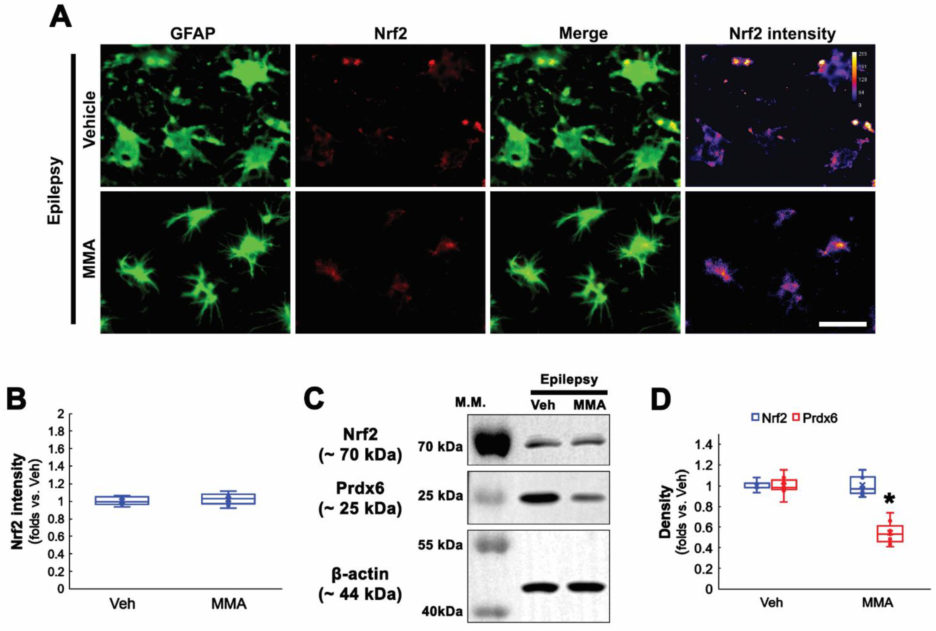 Antioxidants 11 01883 g004