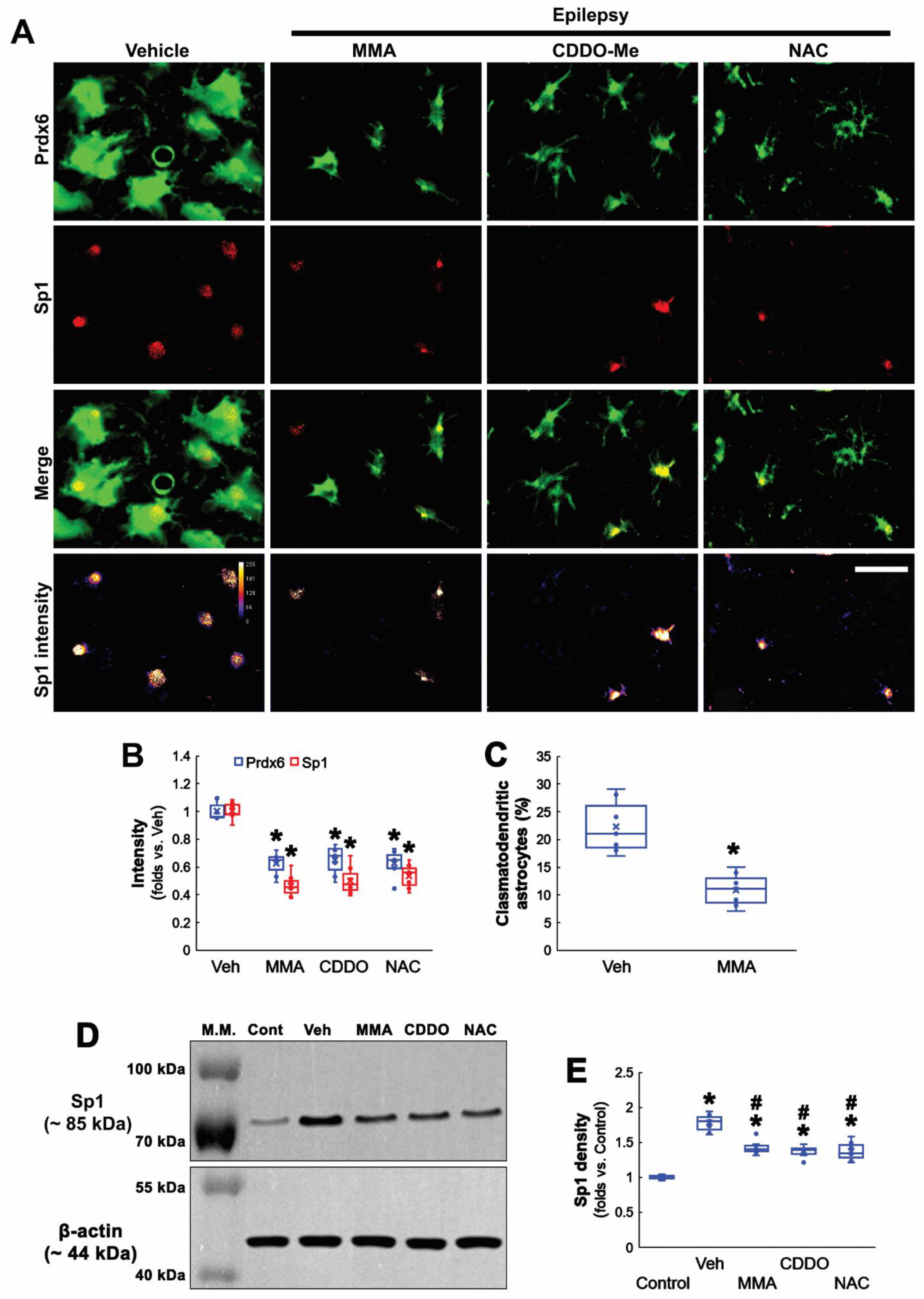 Antioxidants 11 01883 g005