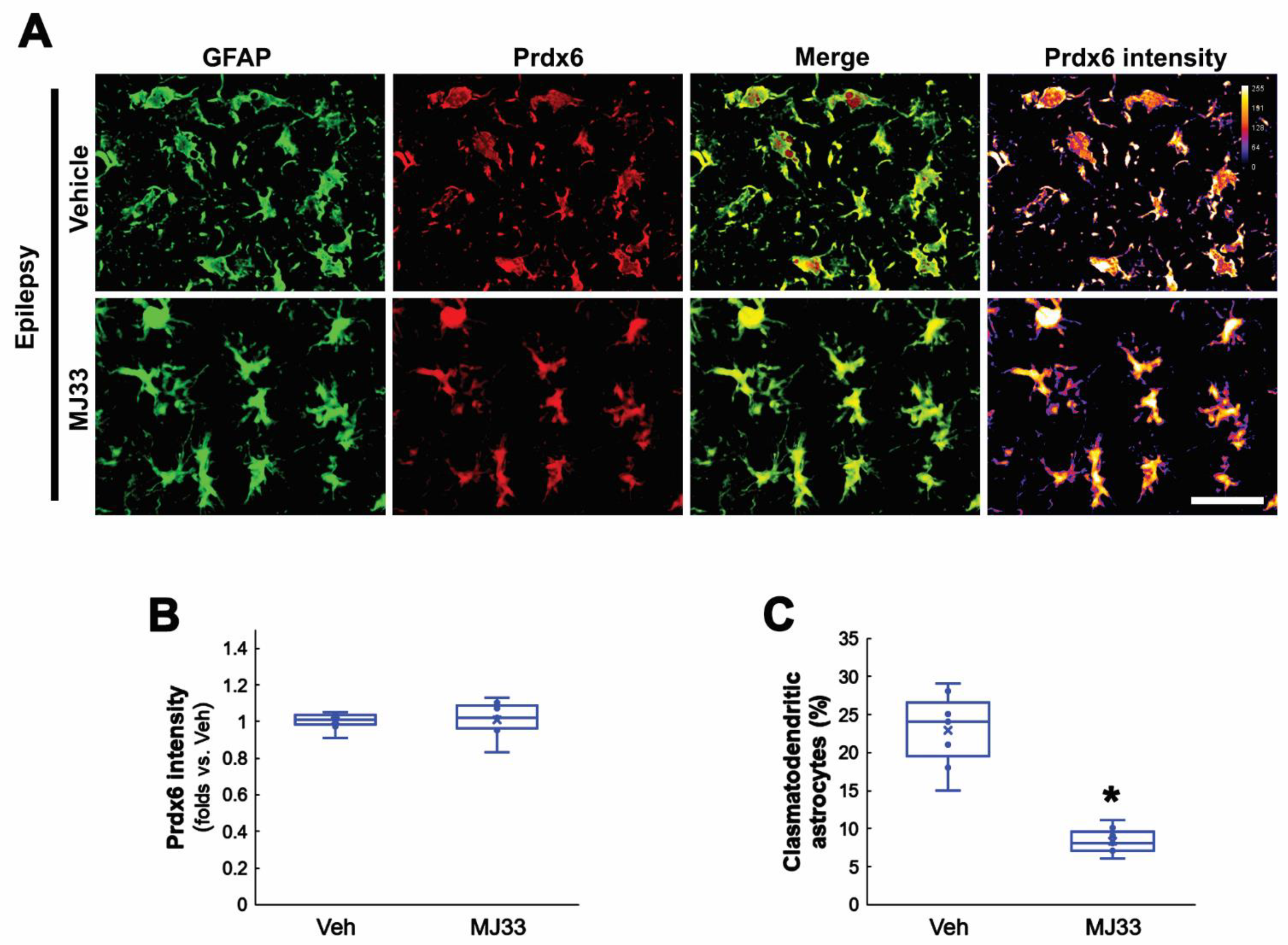 Antioxidants 11 01883 g006