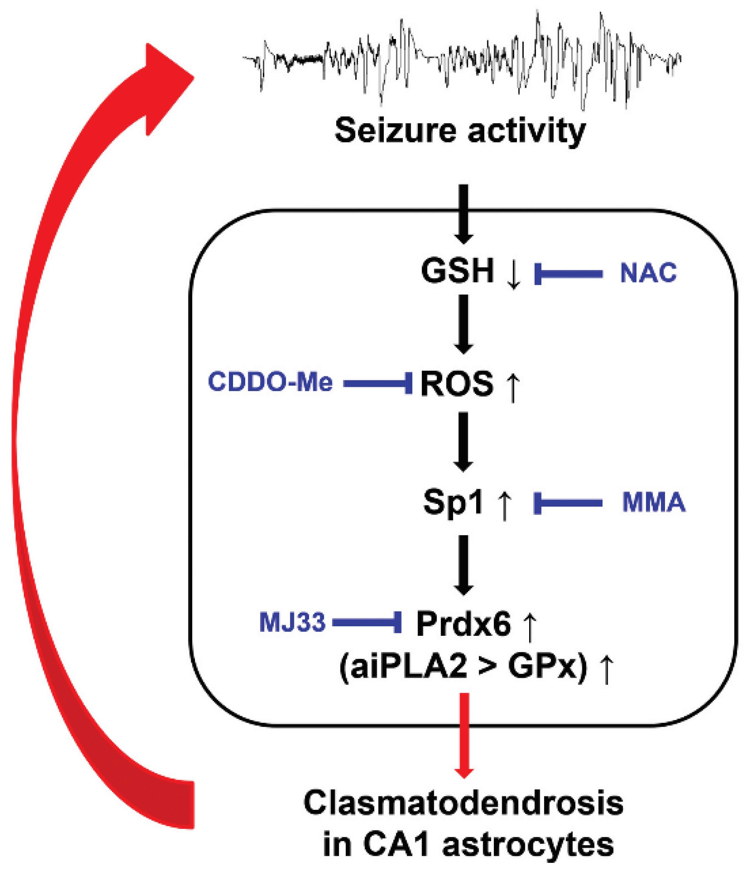 Antioxidants 11 01883 g008